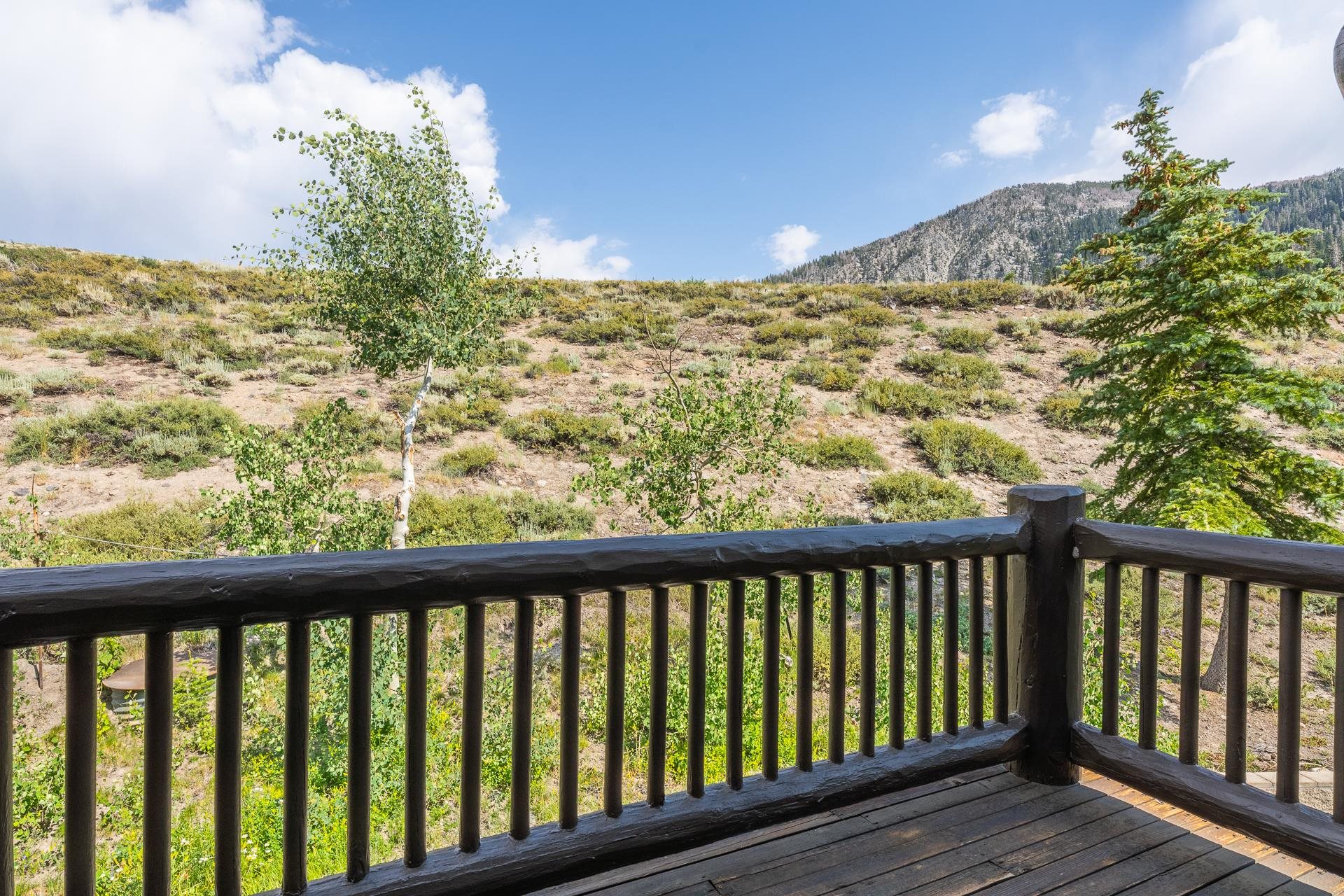 782 Fairway Circle Unit: Snowcreek V #782