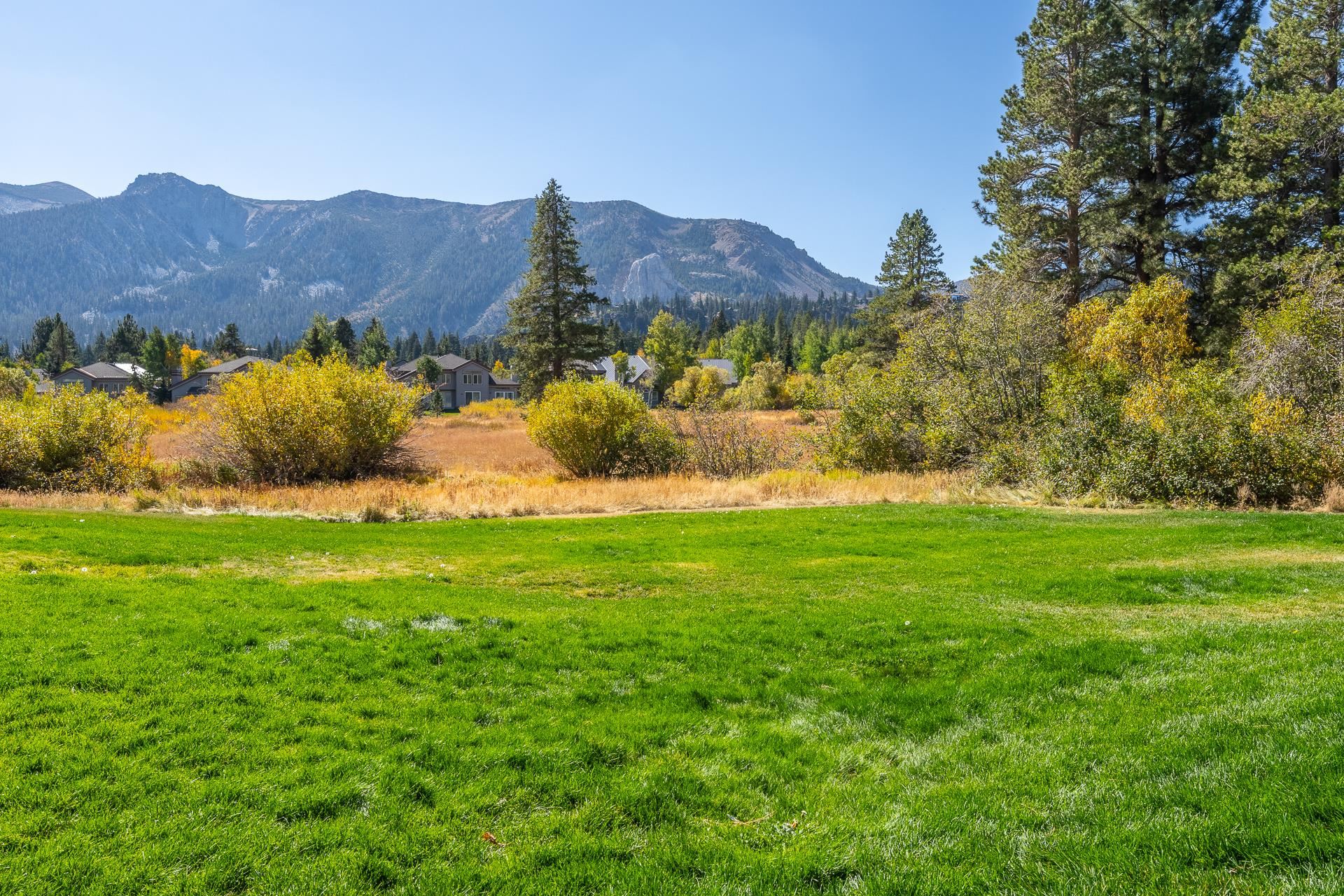 446 Snowcreek Rd Unit: Snowcreek 446