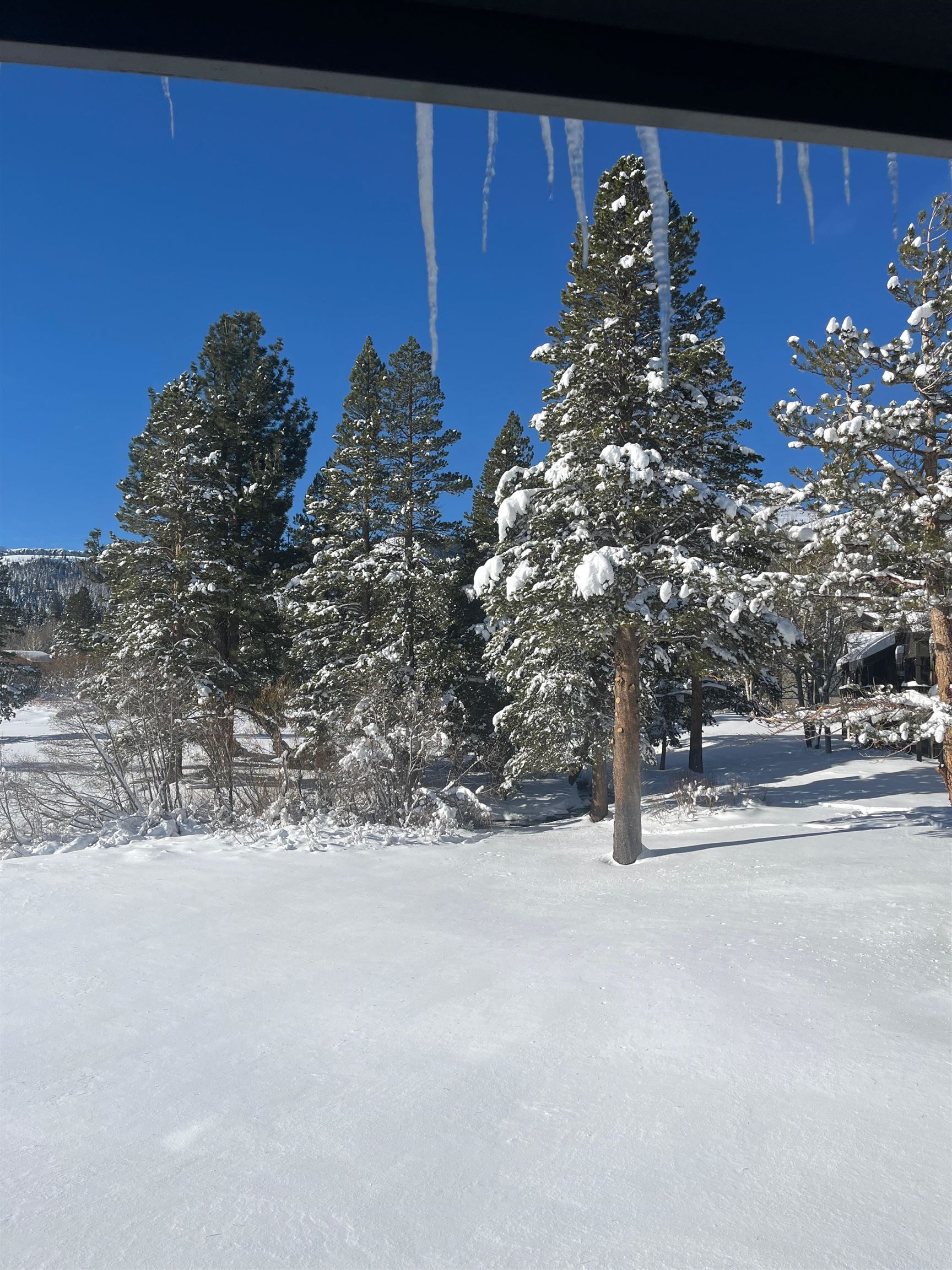 446 Snowcreek Rd Unit: Snowcreek 446