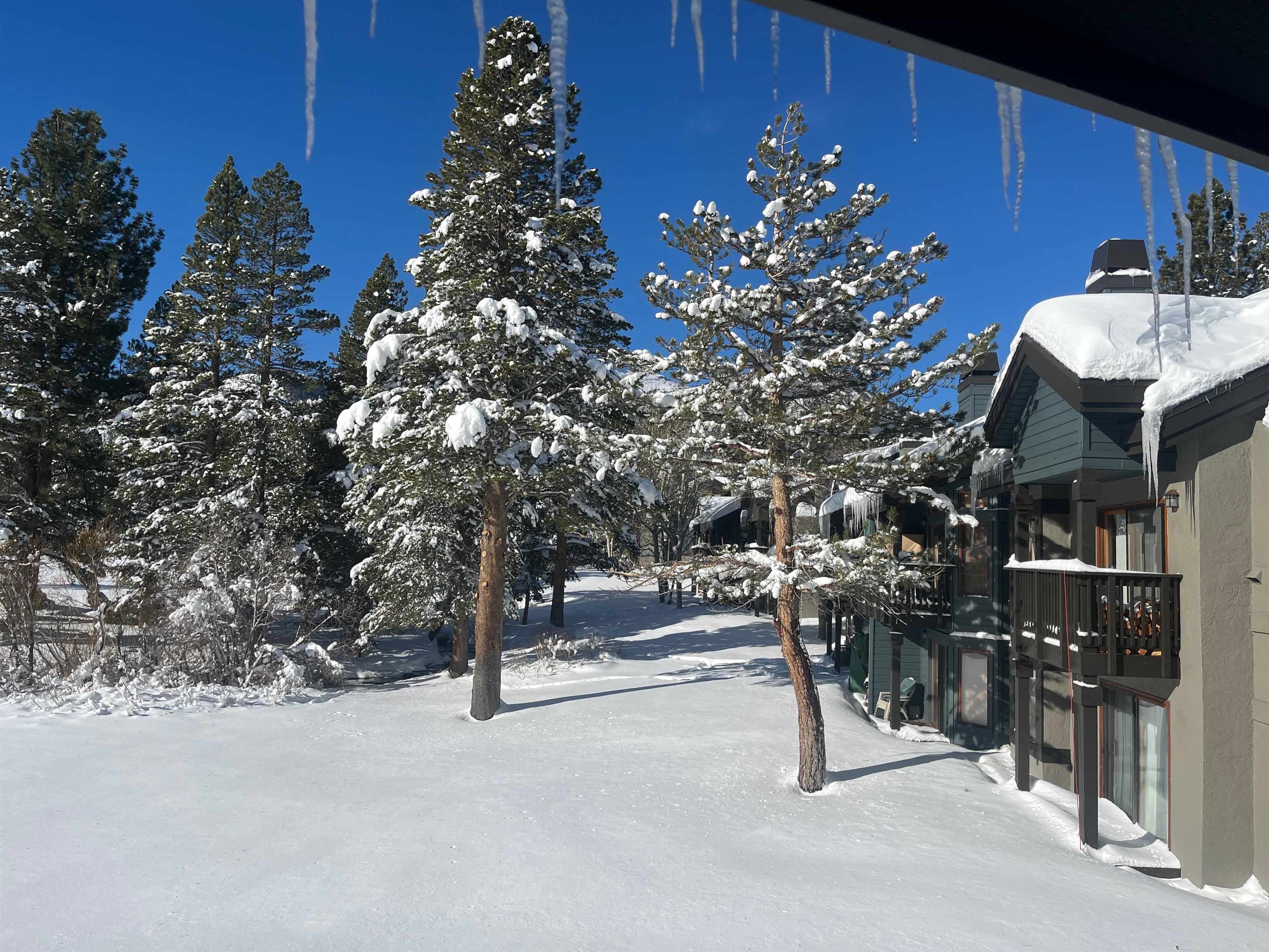 446 Snowcreek Rd Unit: Snowcreek 446