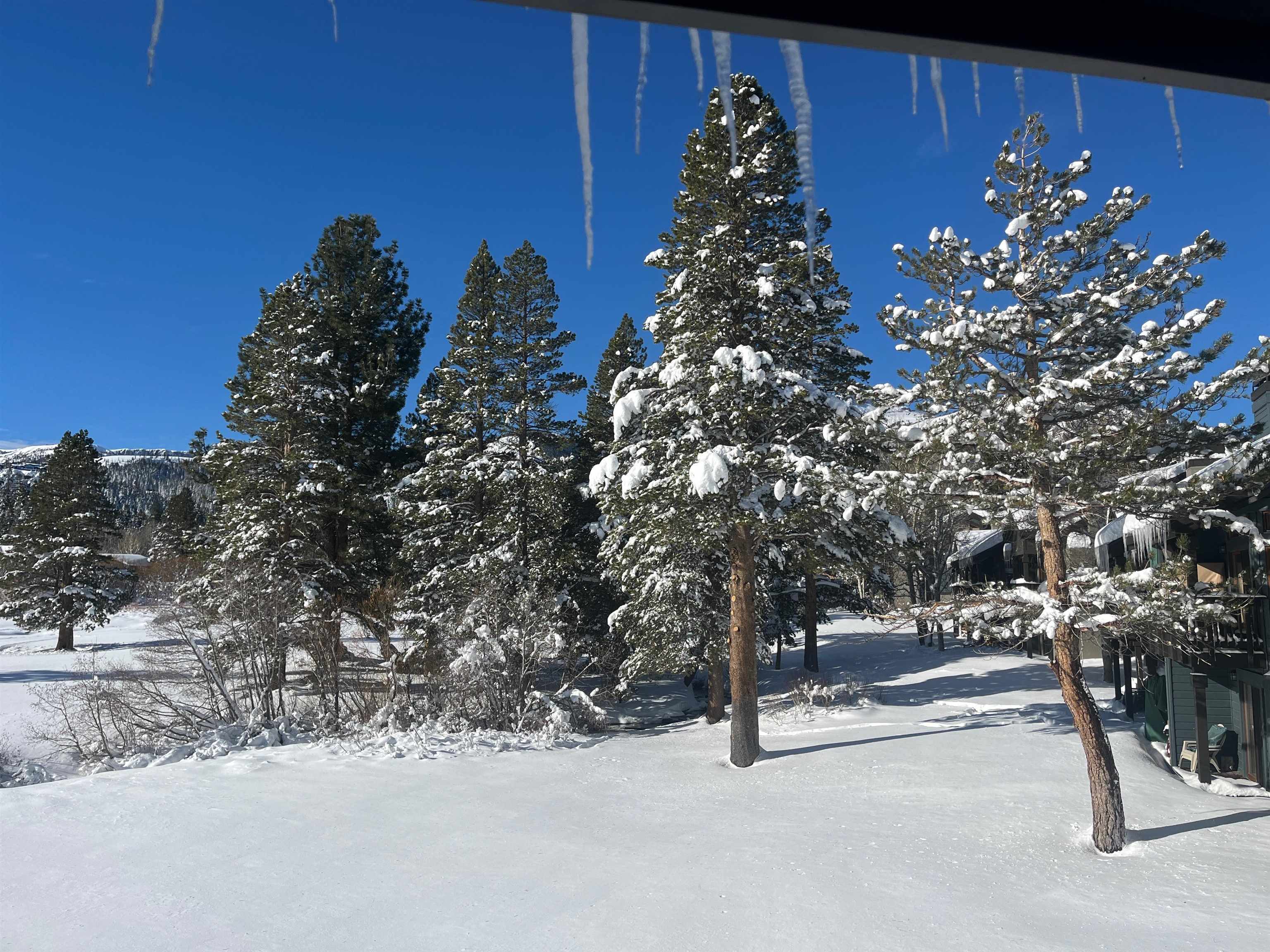 446 Snowcreek Rd Unit: Snowcreek 446