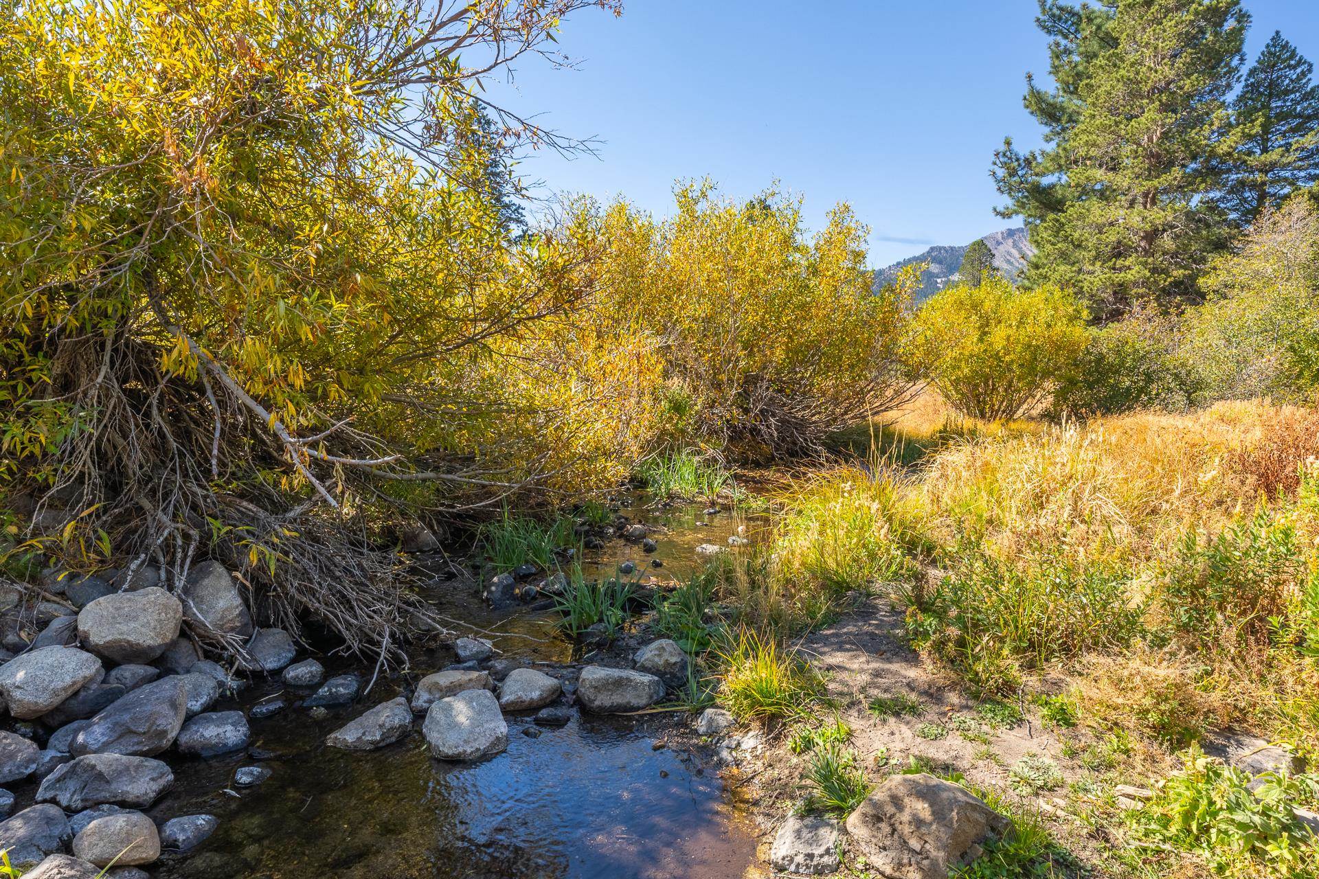 446 Snowcreek Rd Unit: Snowcreek 446