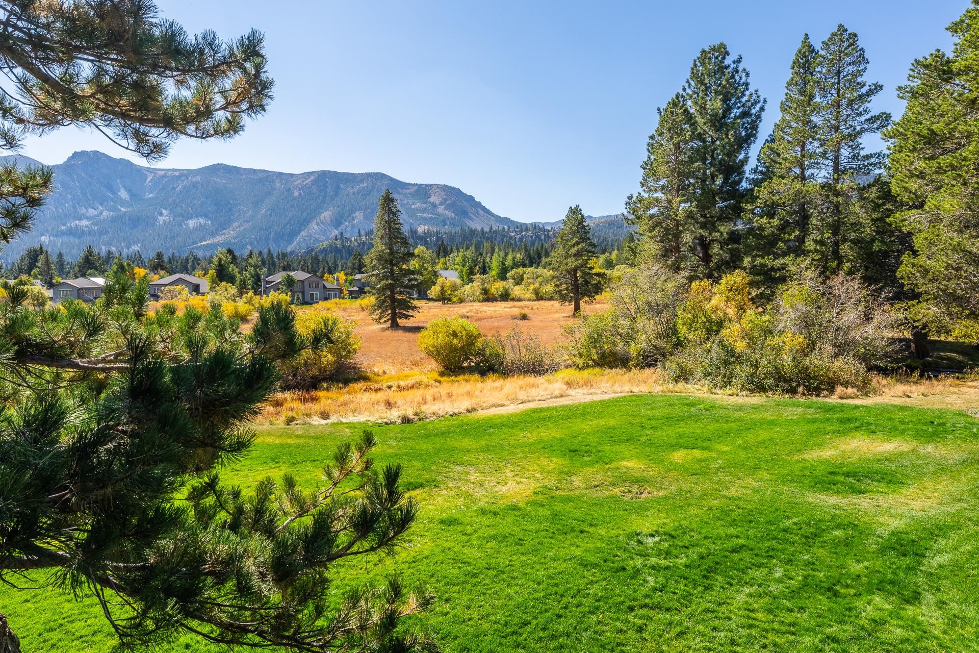 446 Snowcreek Rd Unit: Snowcreek 446