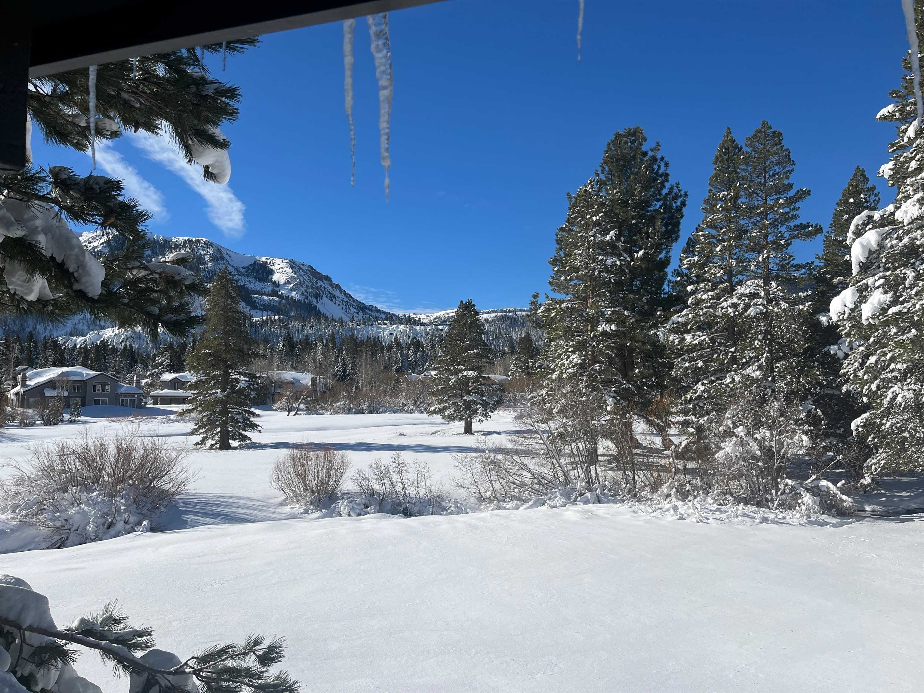 446 Snowcreek Rd Unit: Snowcreek 446