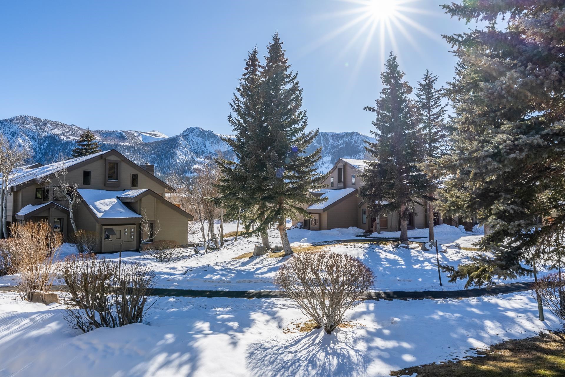 239 Solitude Unit: Snowcreek II #239