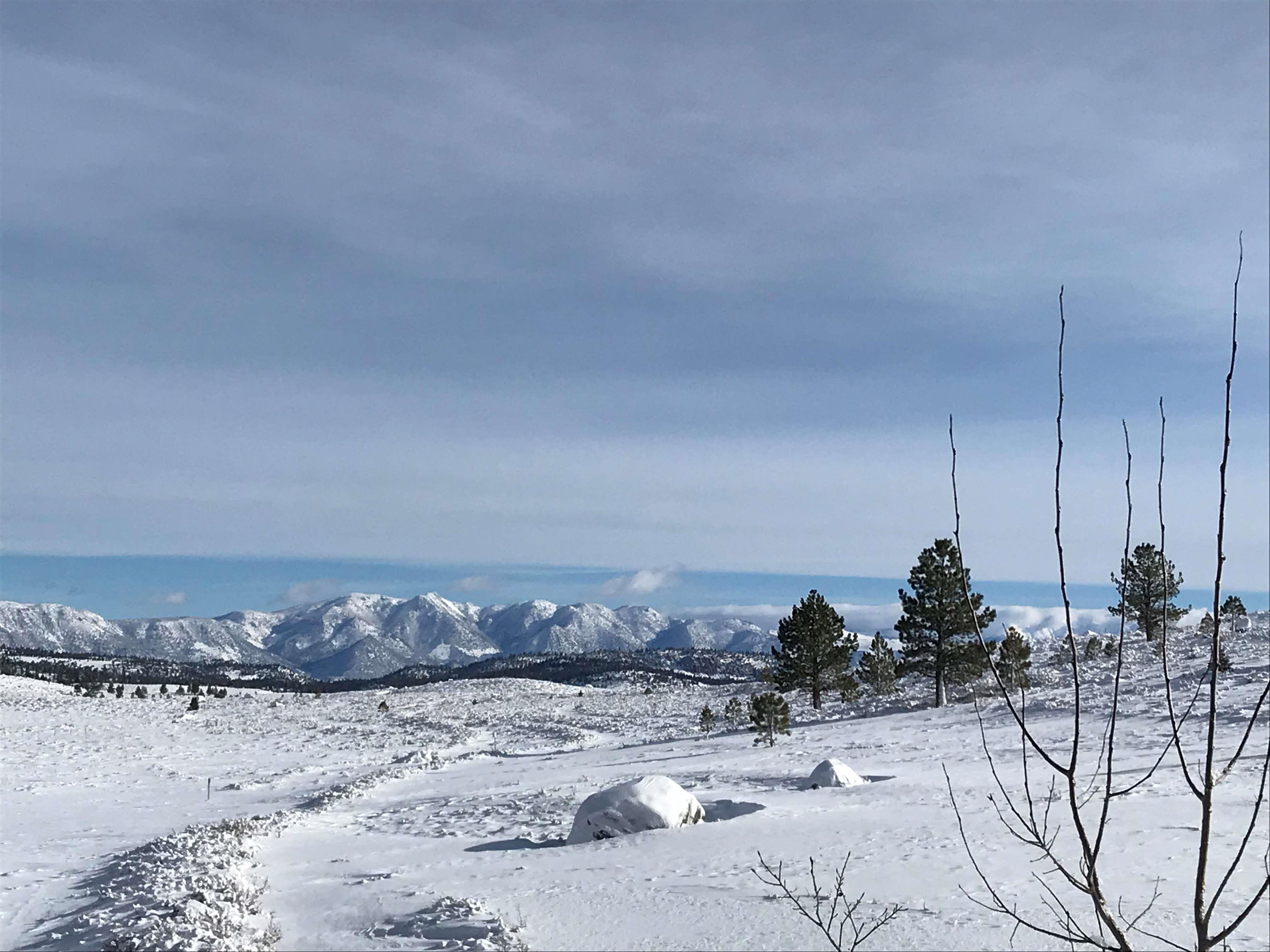 805 Fairway Circle Unit: Snowcreek V #805