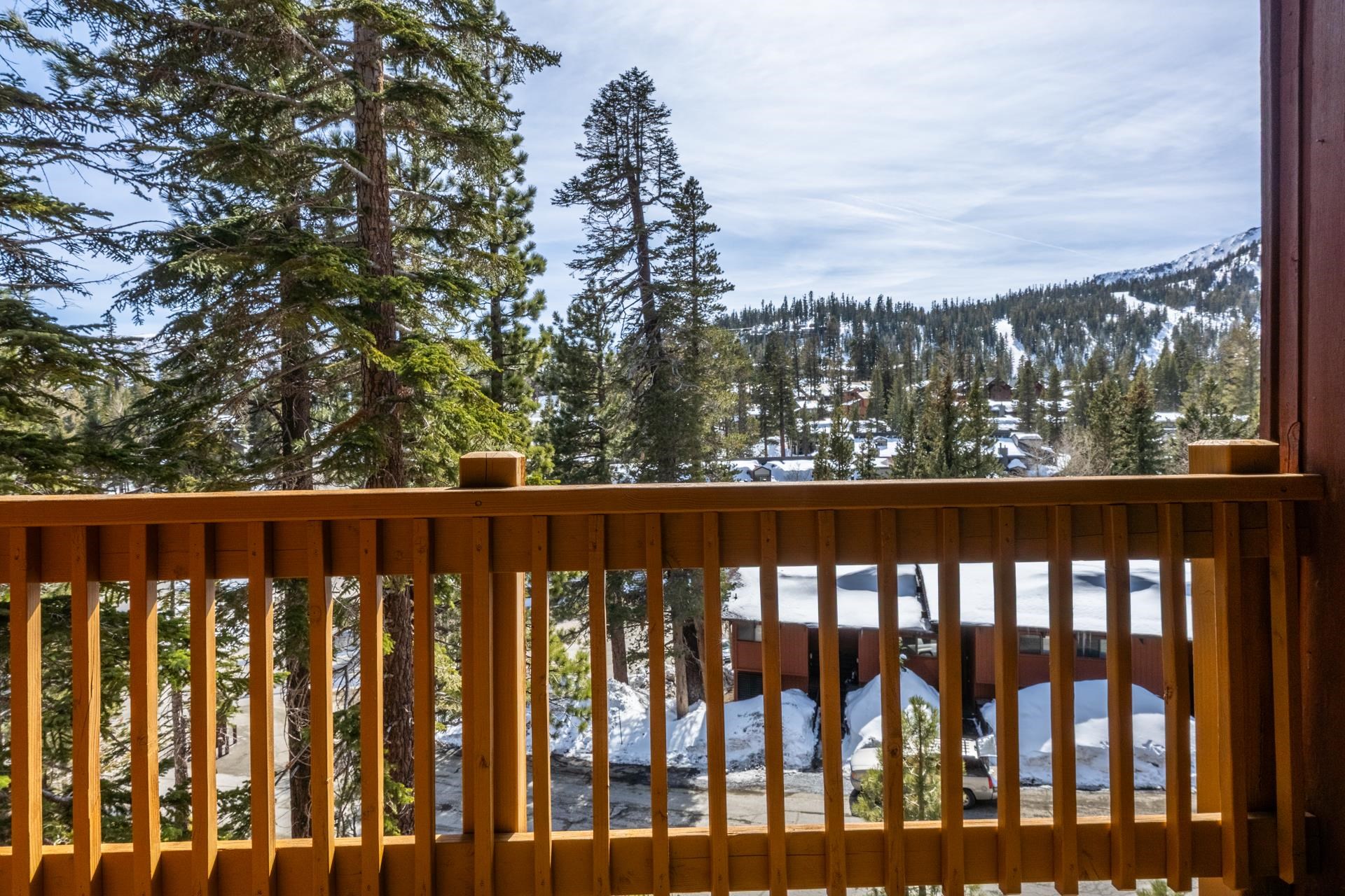 248 Mammoth Slopes Drive Unit: Unit 32