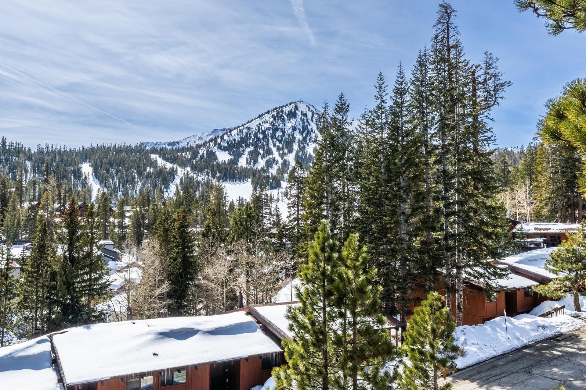 248 Mammoth Slopes Drive Unit: Unit 32