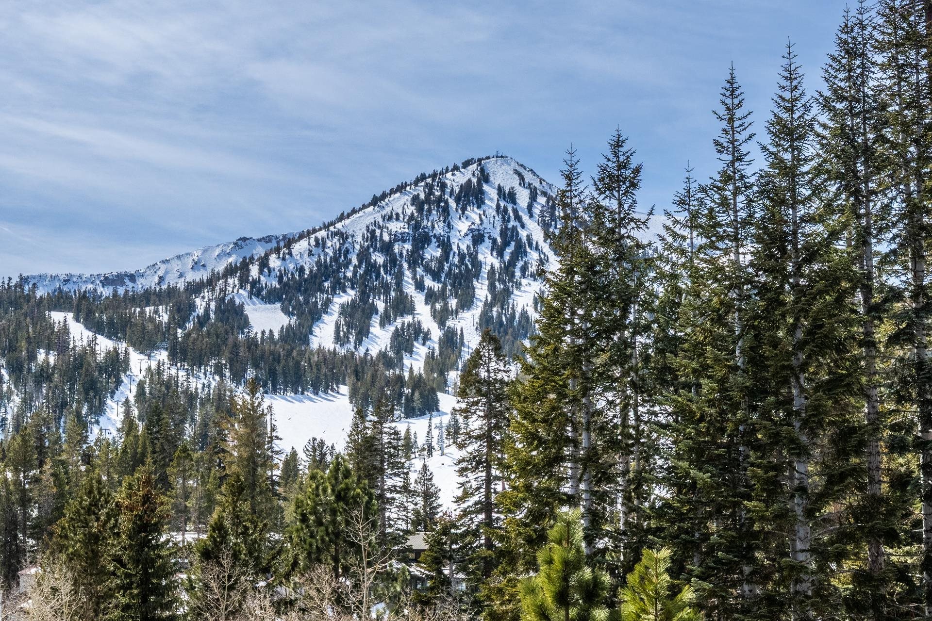 248 Mammoth Slopes Drive Unit: Unit 32