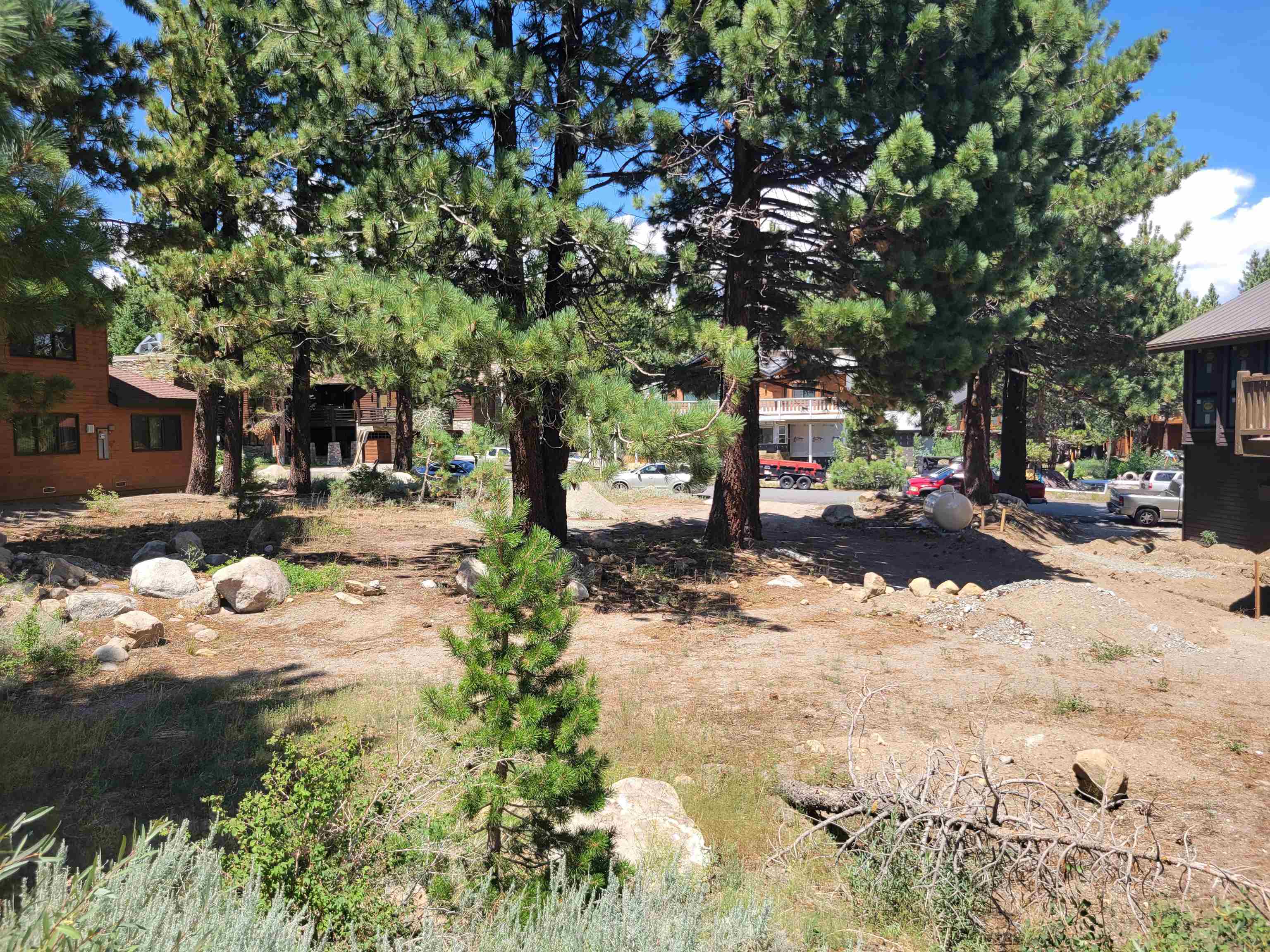 555 Monterey Pine Road