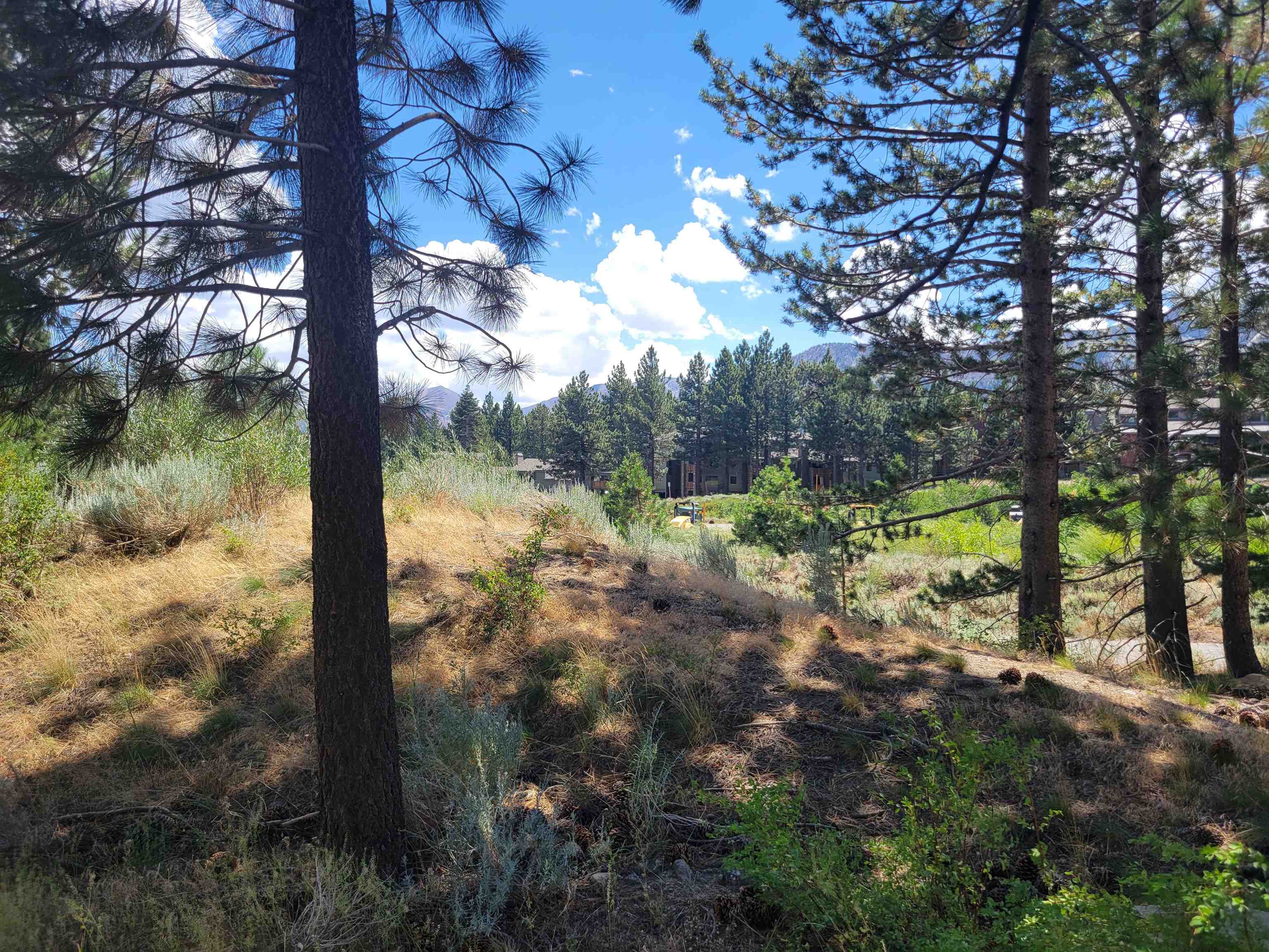 555 Monterey Pine Road