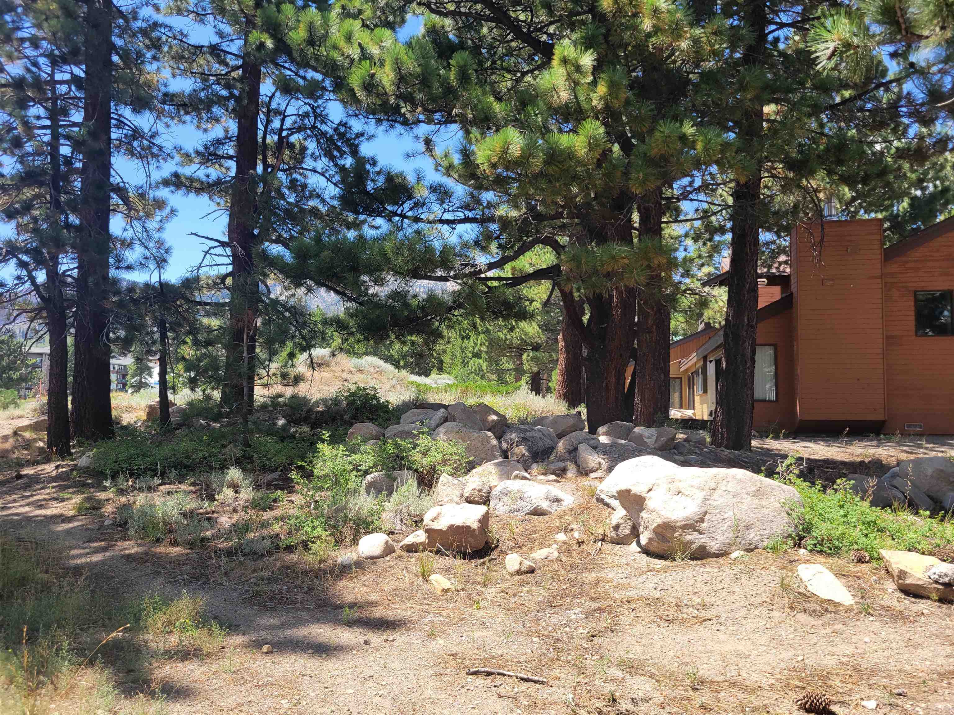 555 Monterey Pine Road