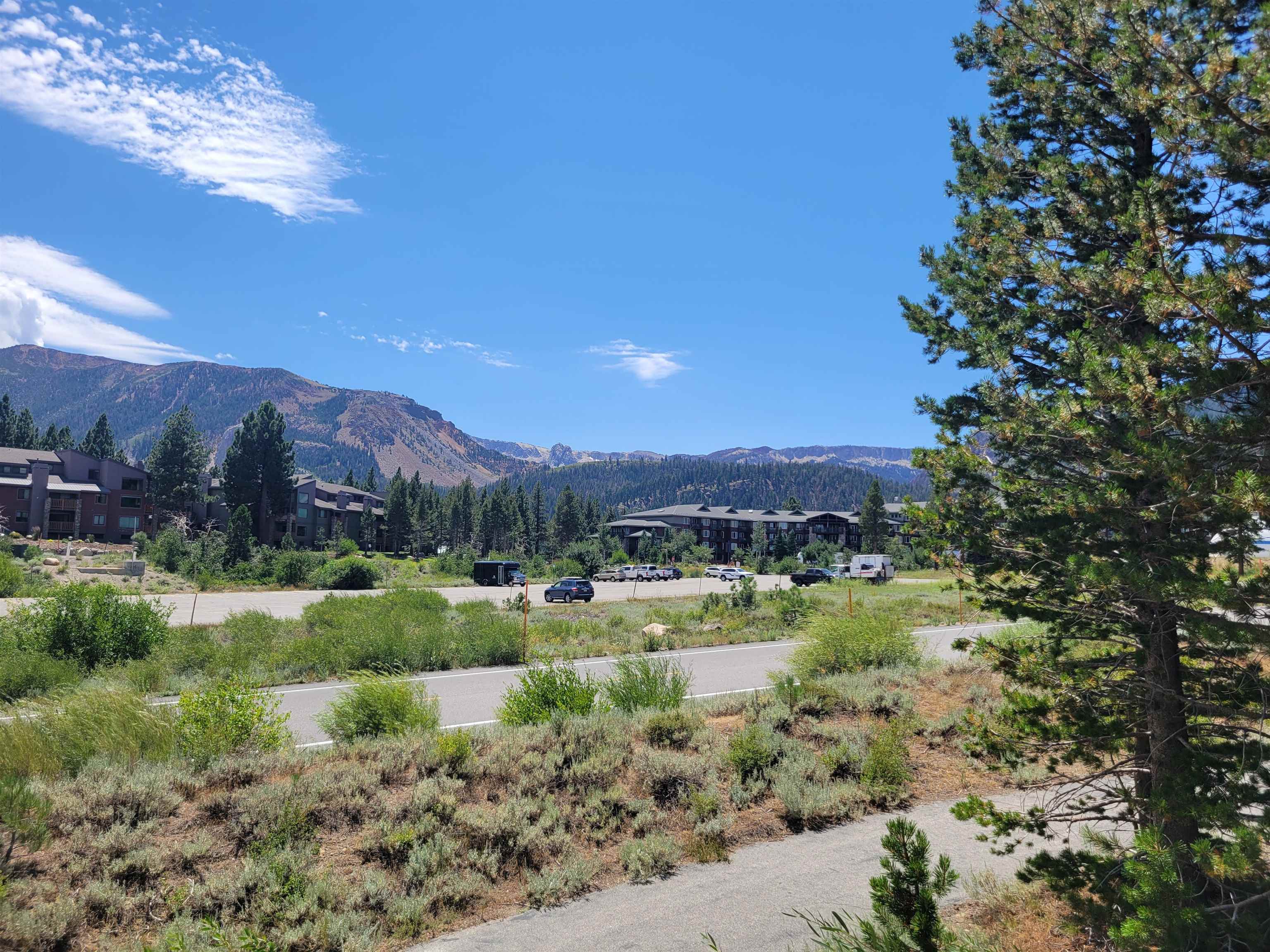 555 Monterey Pine Road