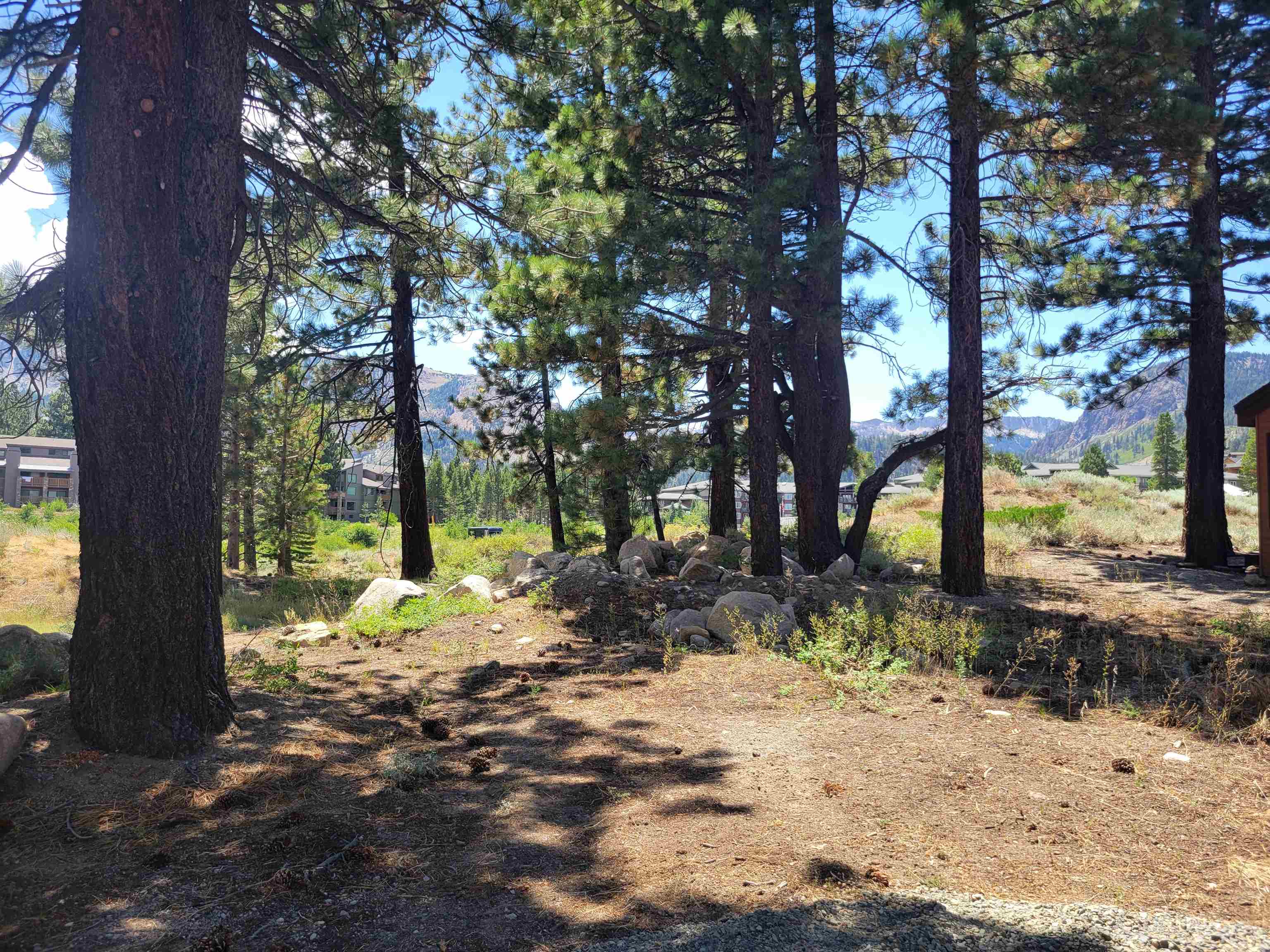555 Monterey Pine Road