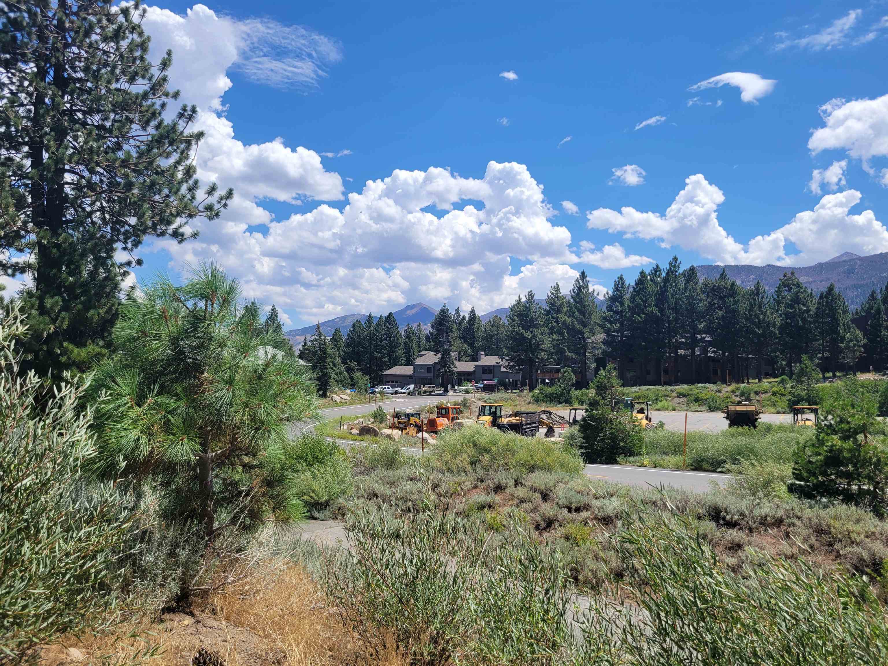 555 Monterey Pine Road