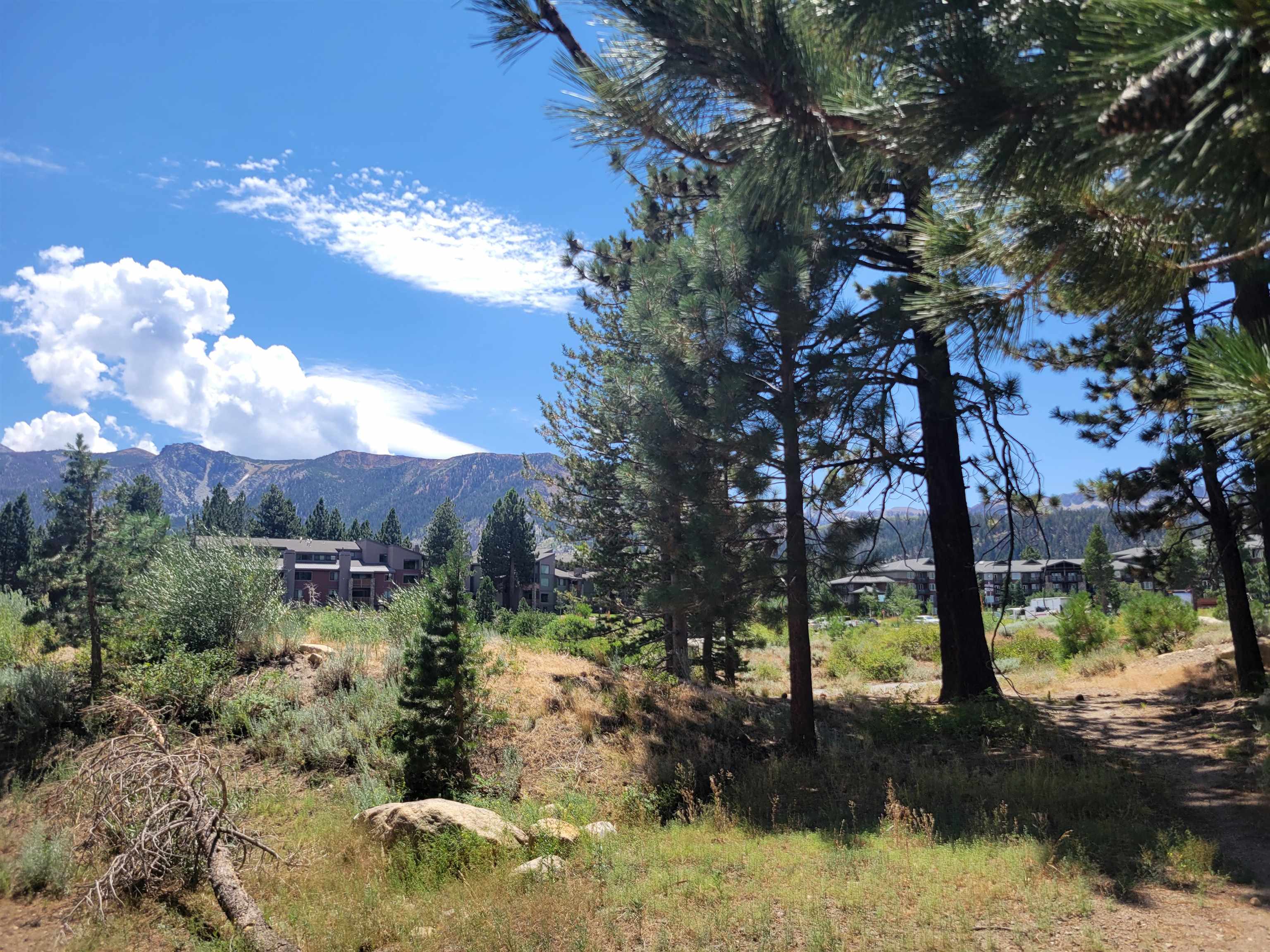 555 Monterey Pine Road