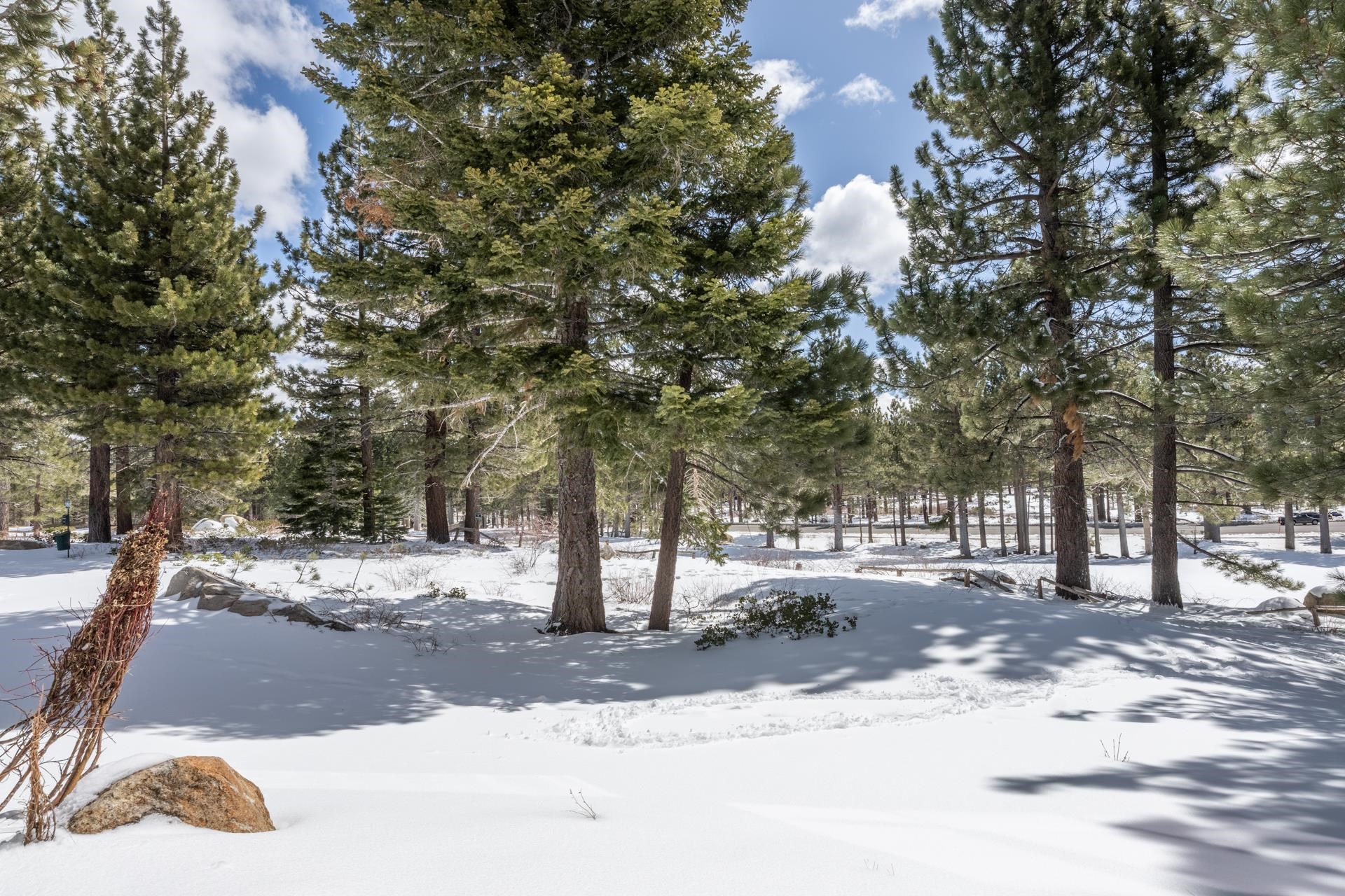 2004 Sierra Star Pkwy #8