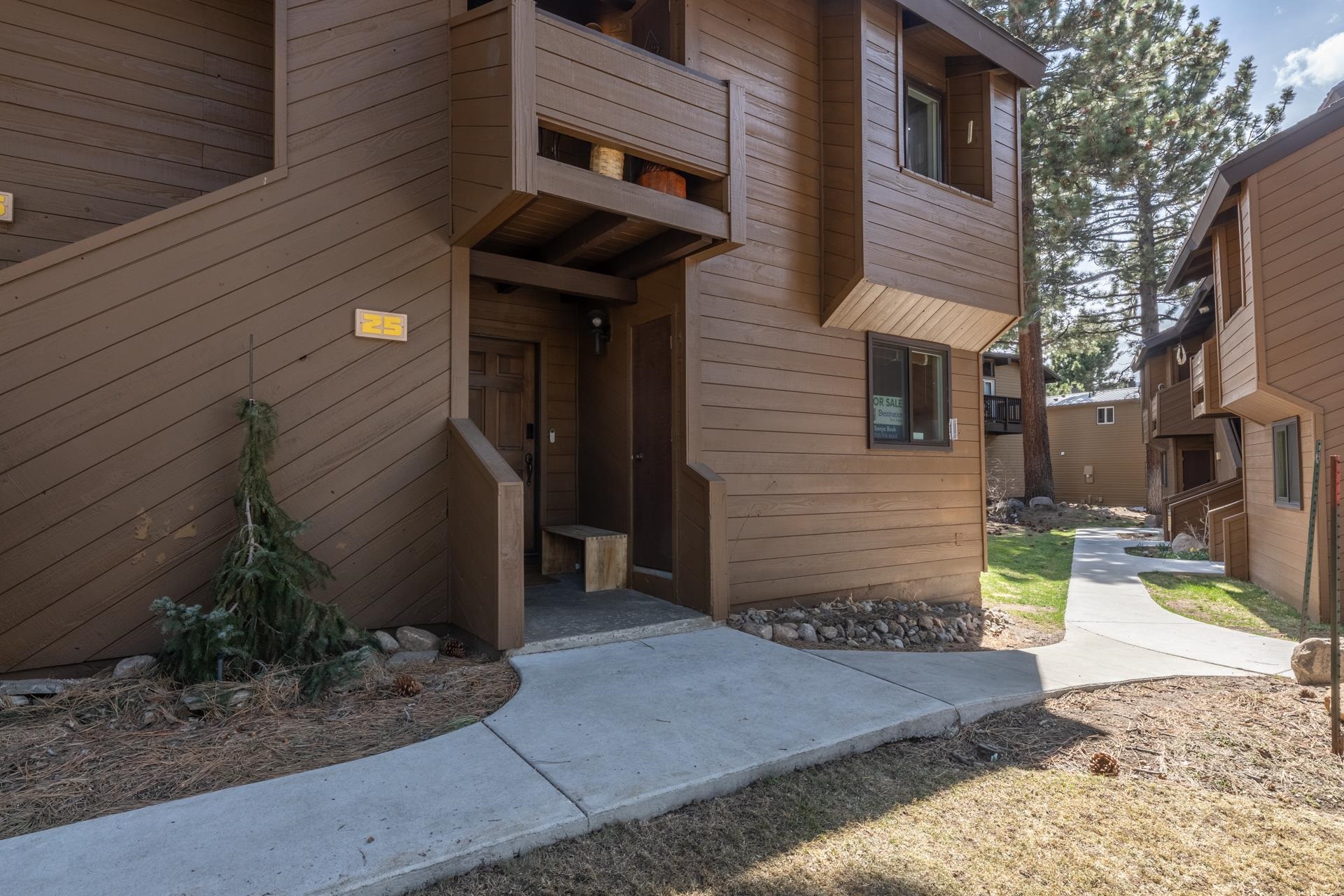 2 Arrowhead #25 Drive Unit: Wildflower