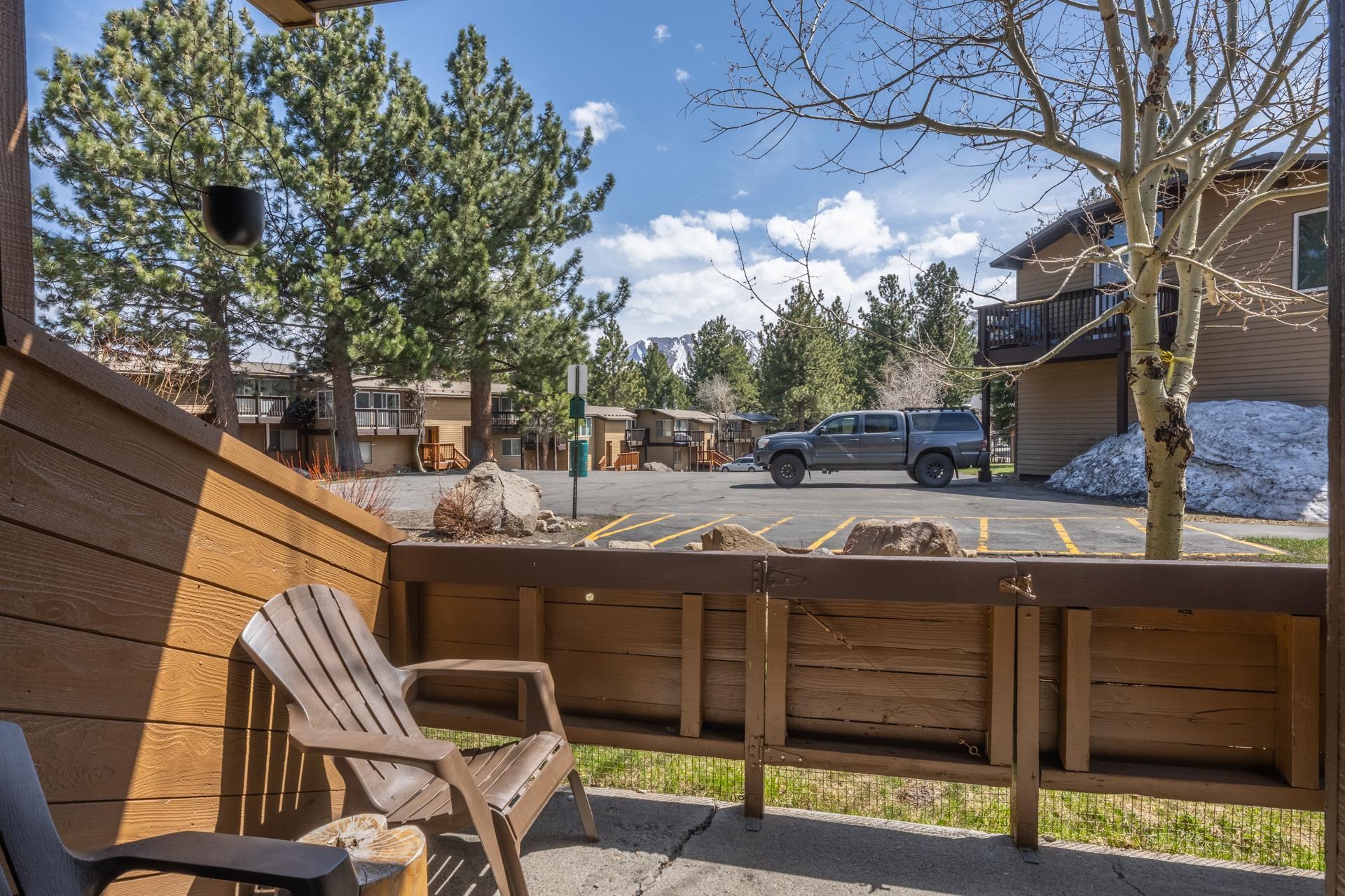 2 Arrowhead #25 Drive Unit: Wildflower