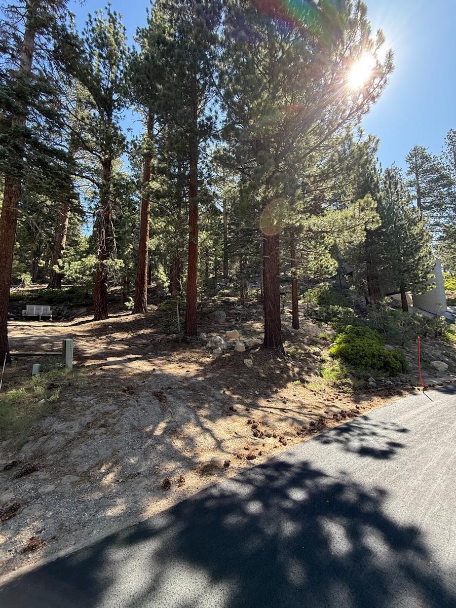 198 Grindelwald Road