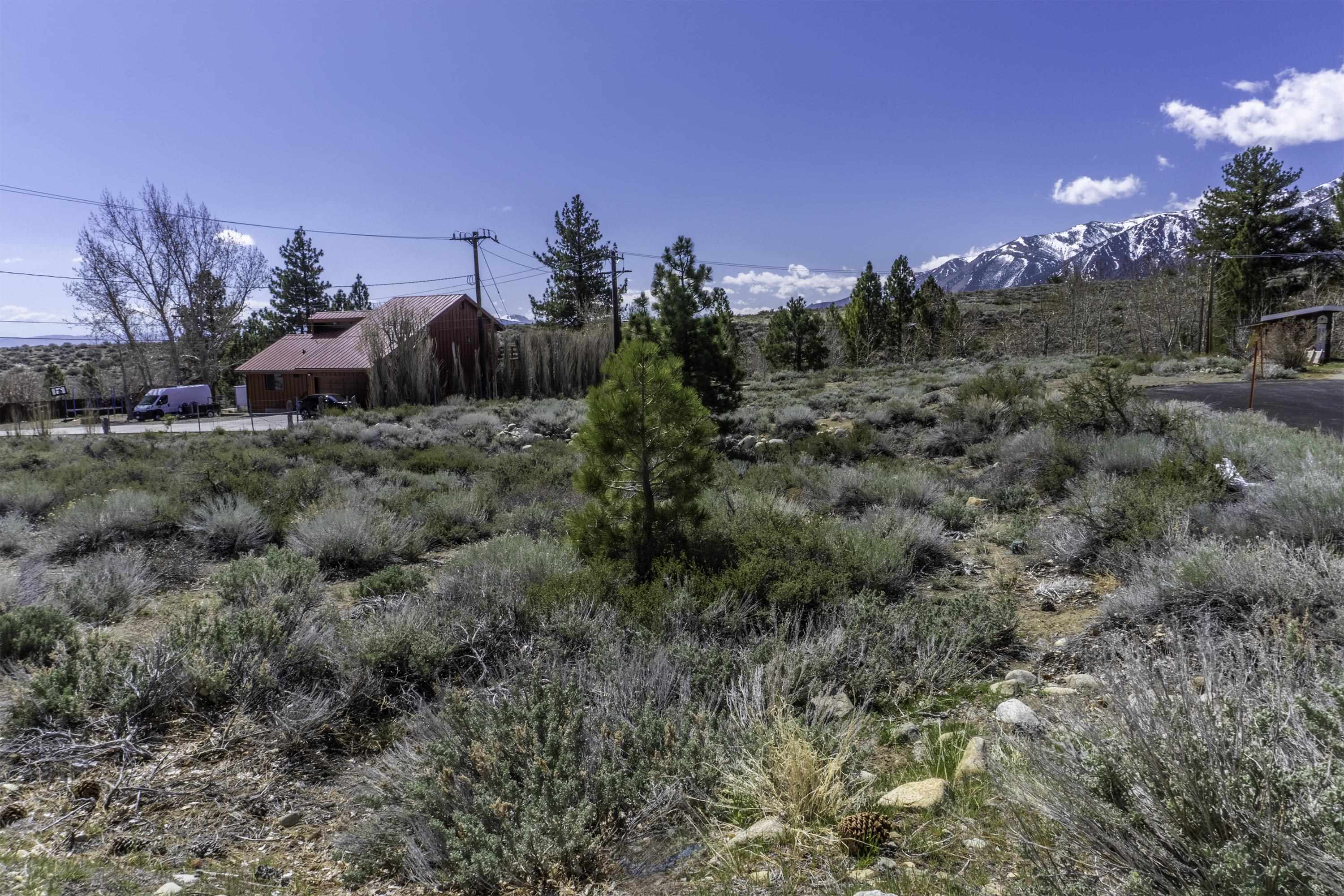 Unassigned Lake Helen Court