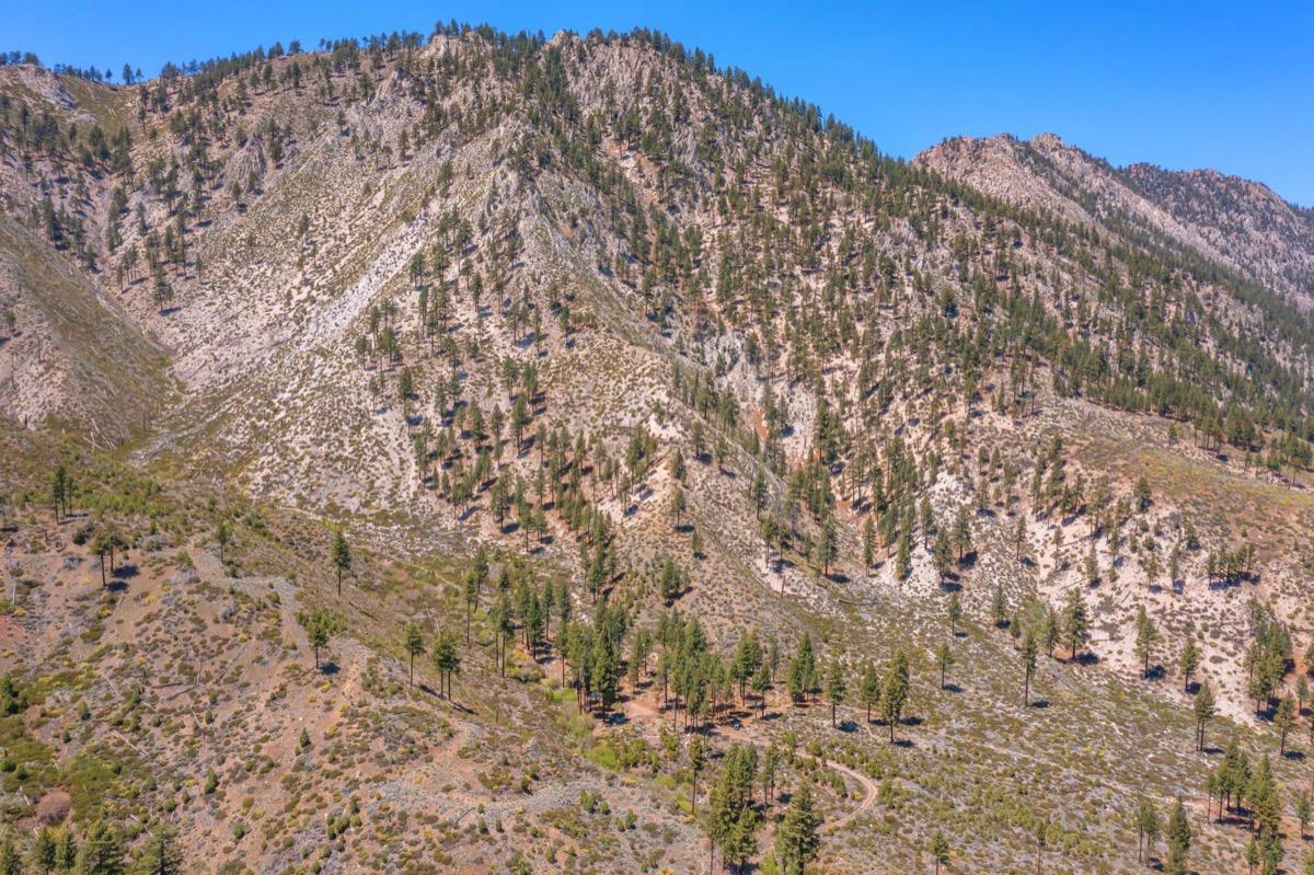 100083 Highway 395