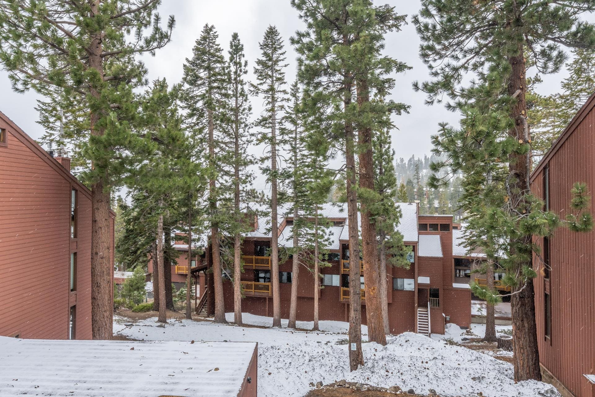 248 Mammoth Slopes Dr. #108