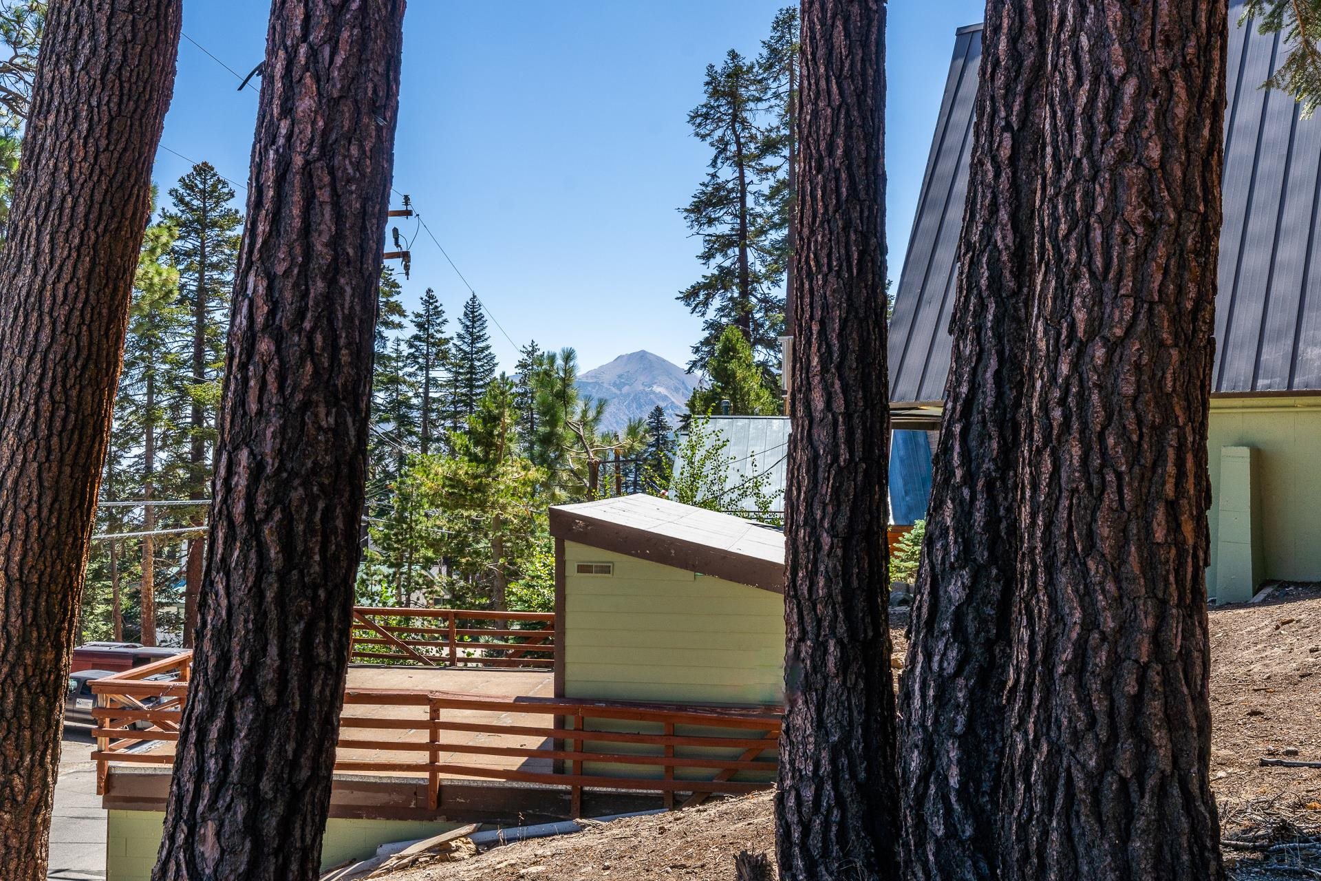 381 John Muir Road