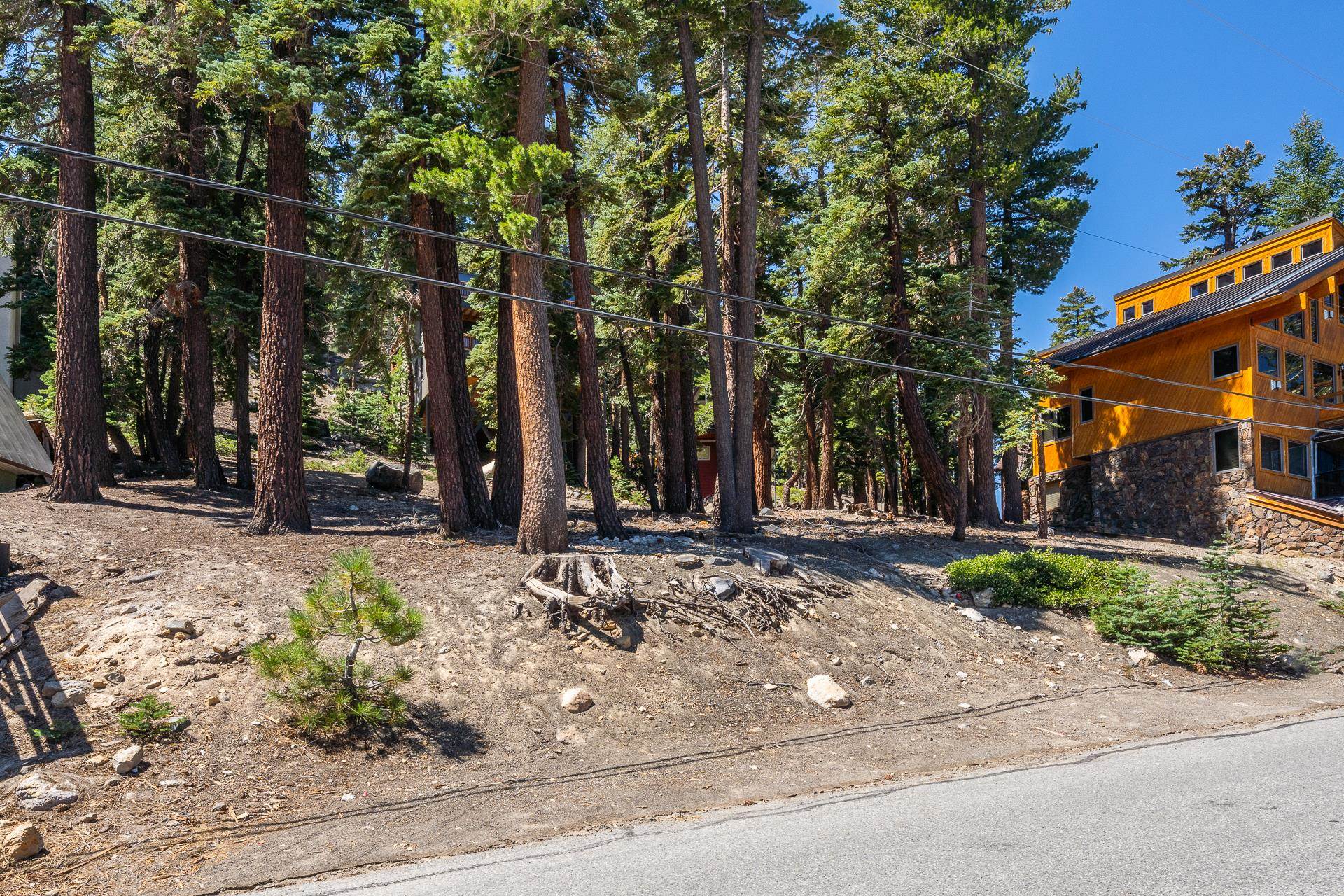 381 John Muir Road
