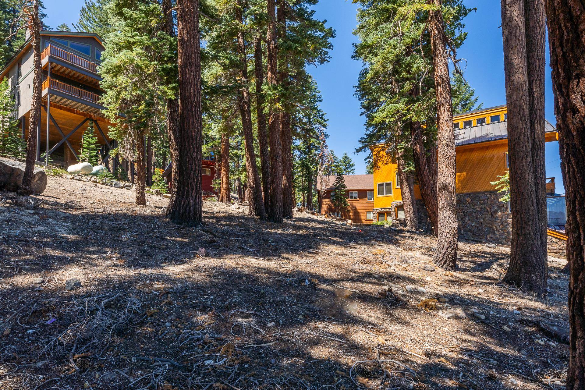 381 John Muir Road