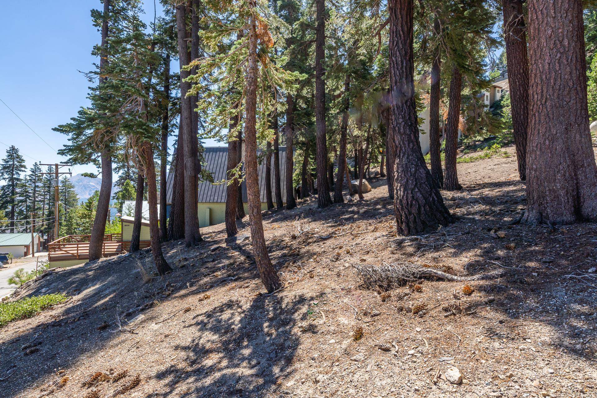 381 John Muir Road