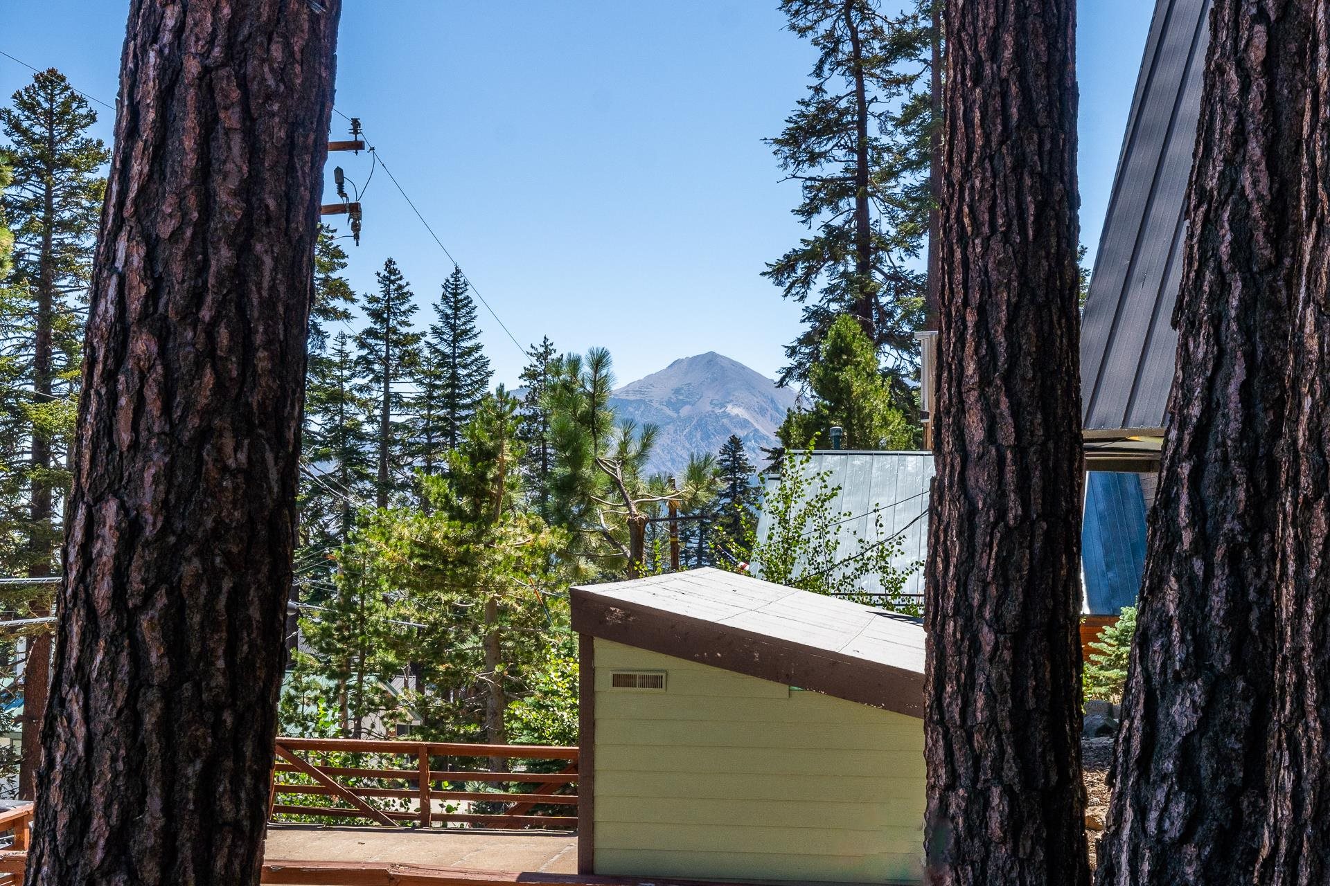 381 John Muir Road