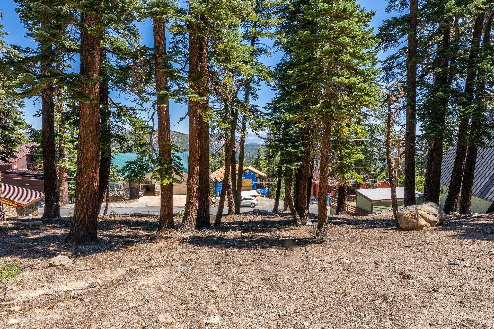 381 John Muir Road