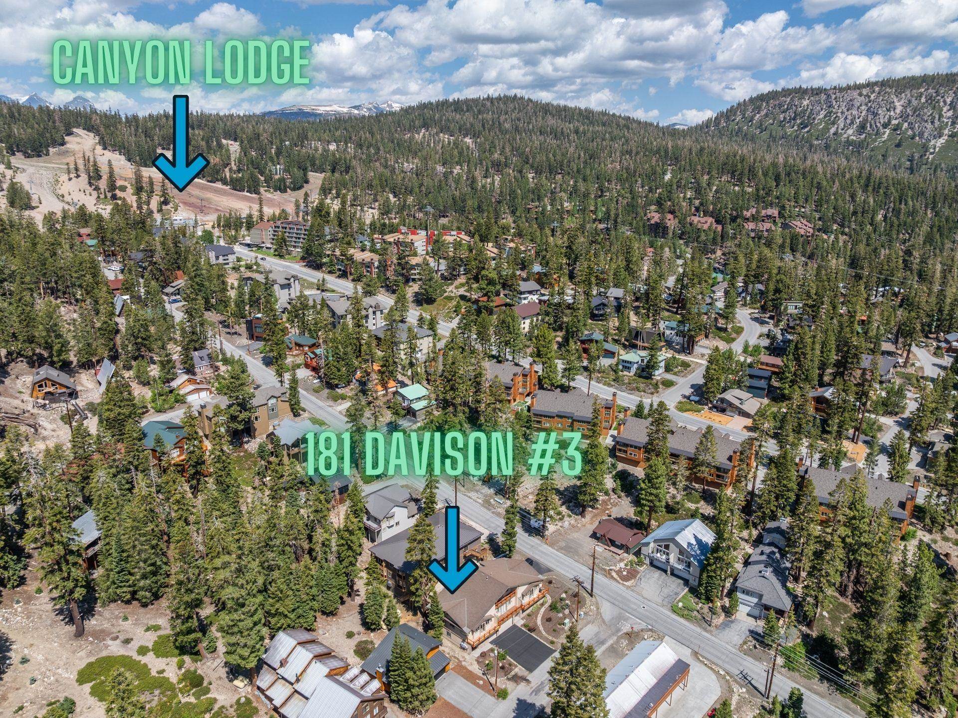 181 Davison Road Unit: #3