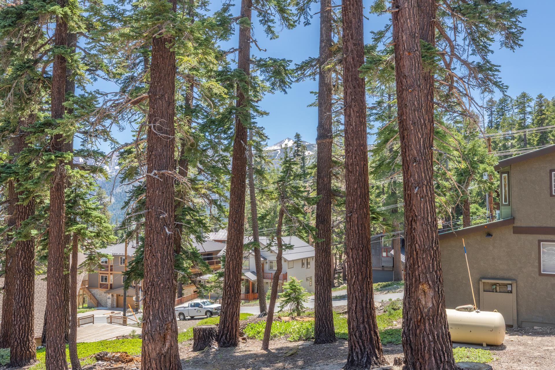 435 Lakeview #117