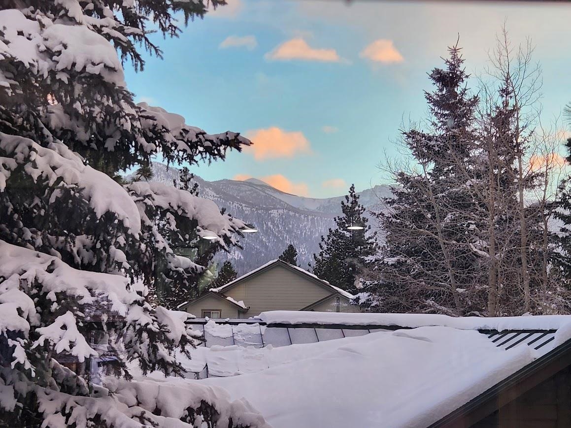 372 Wagon Wheel Drive