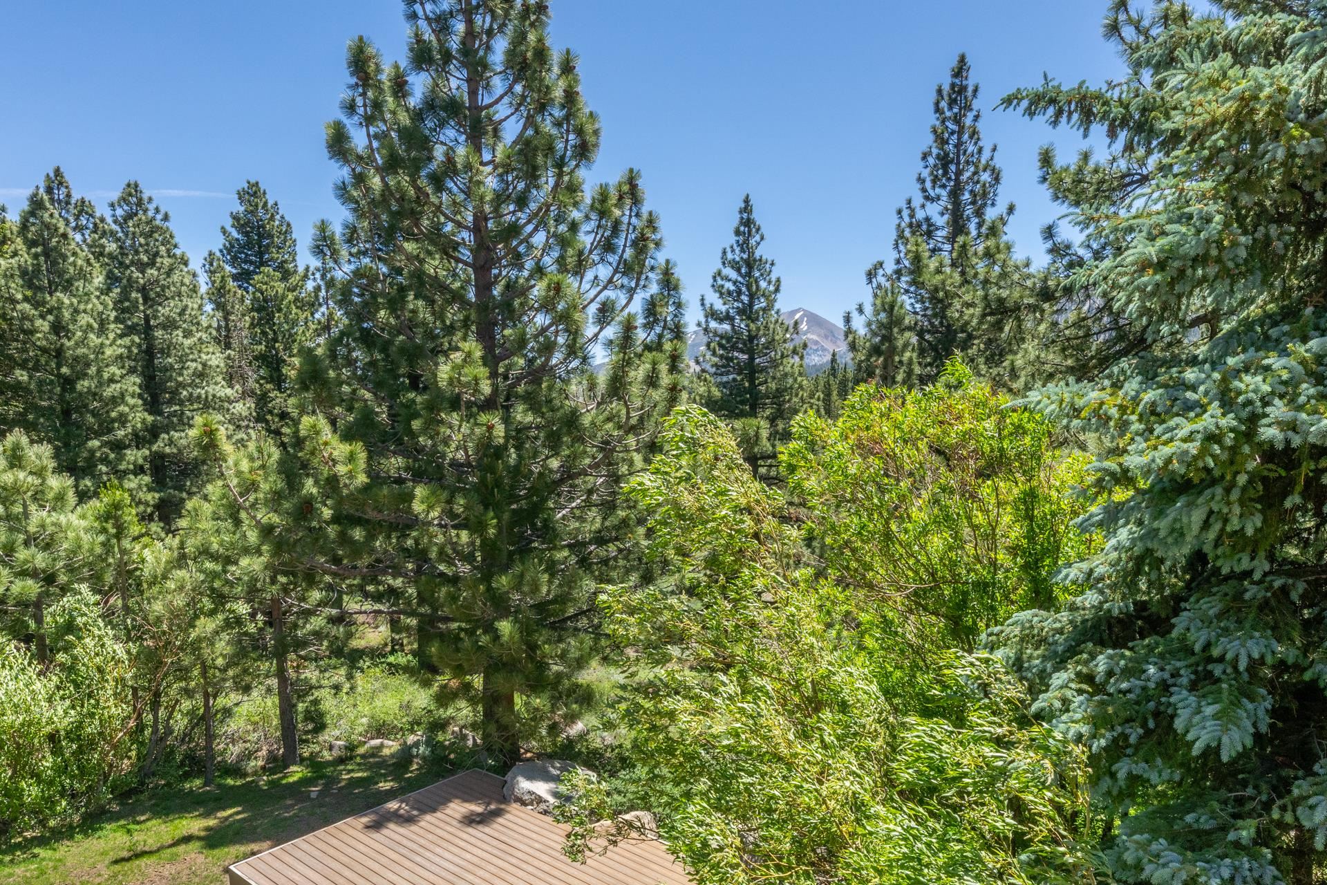 707 Creekview Place