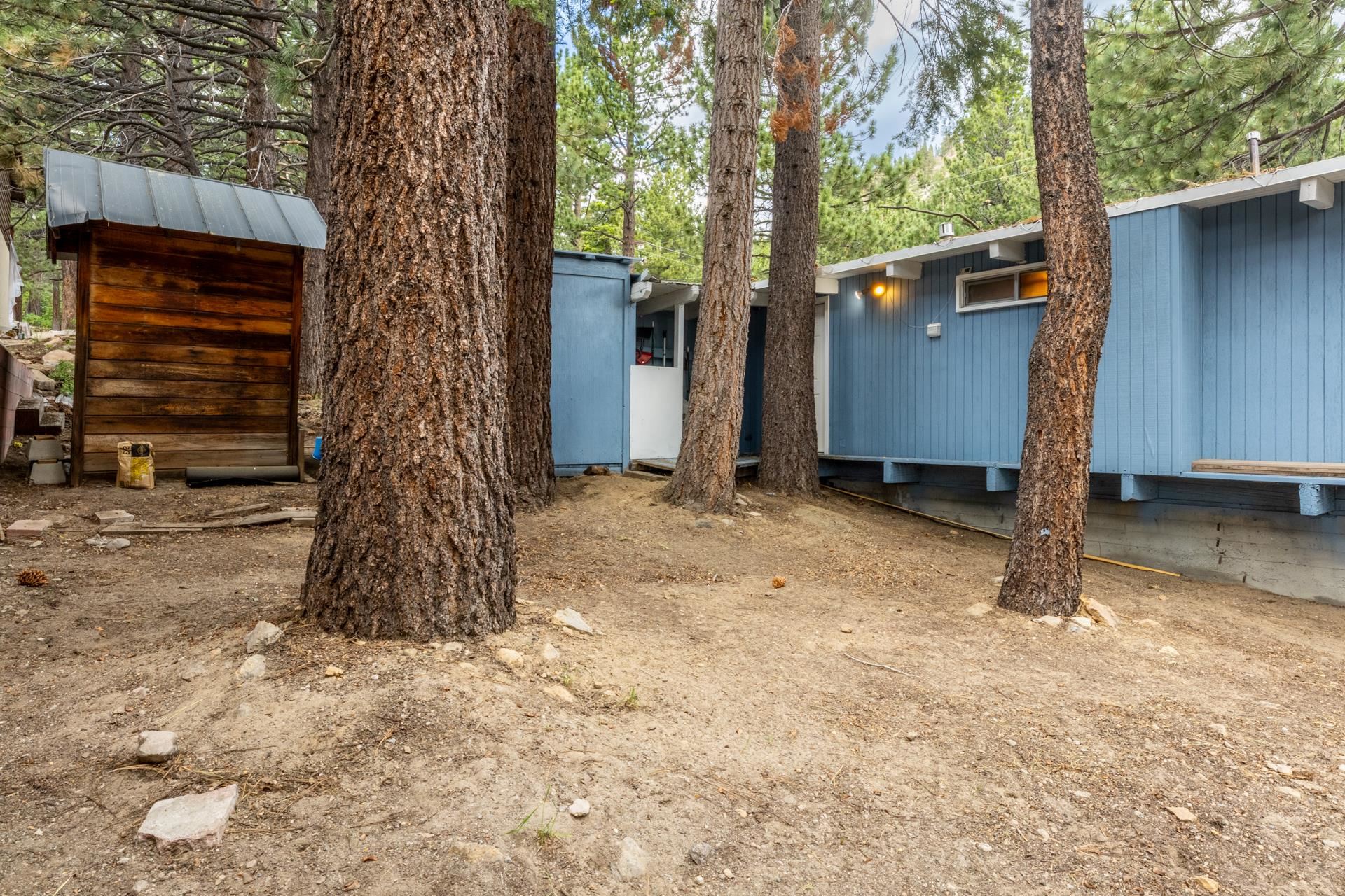319 Pinecrest