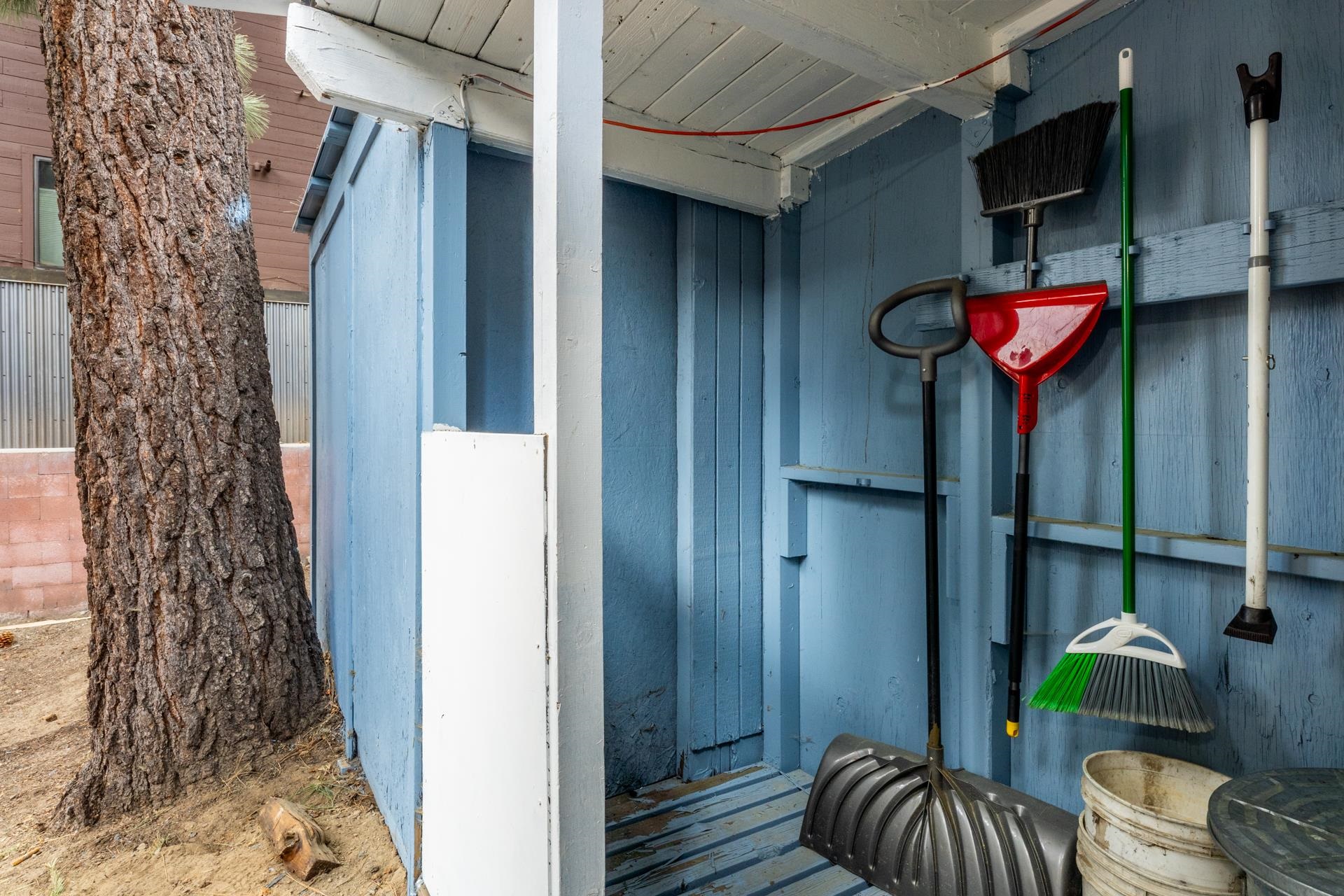 319 Pinecrest