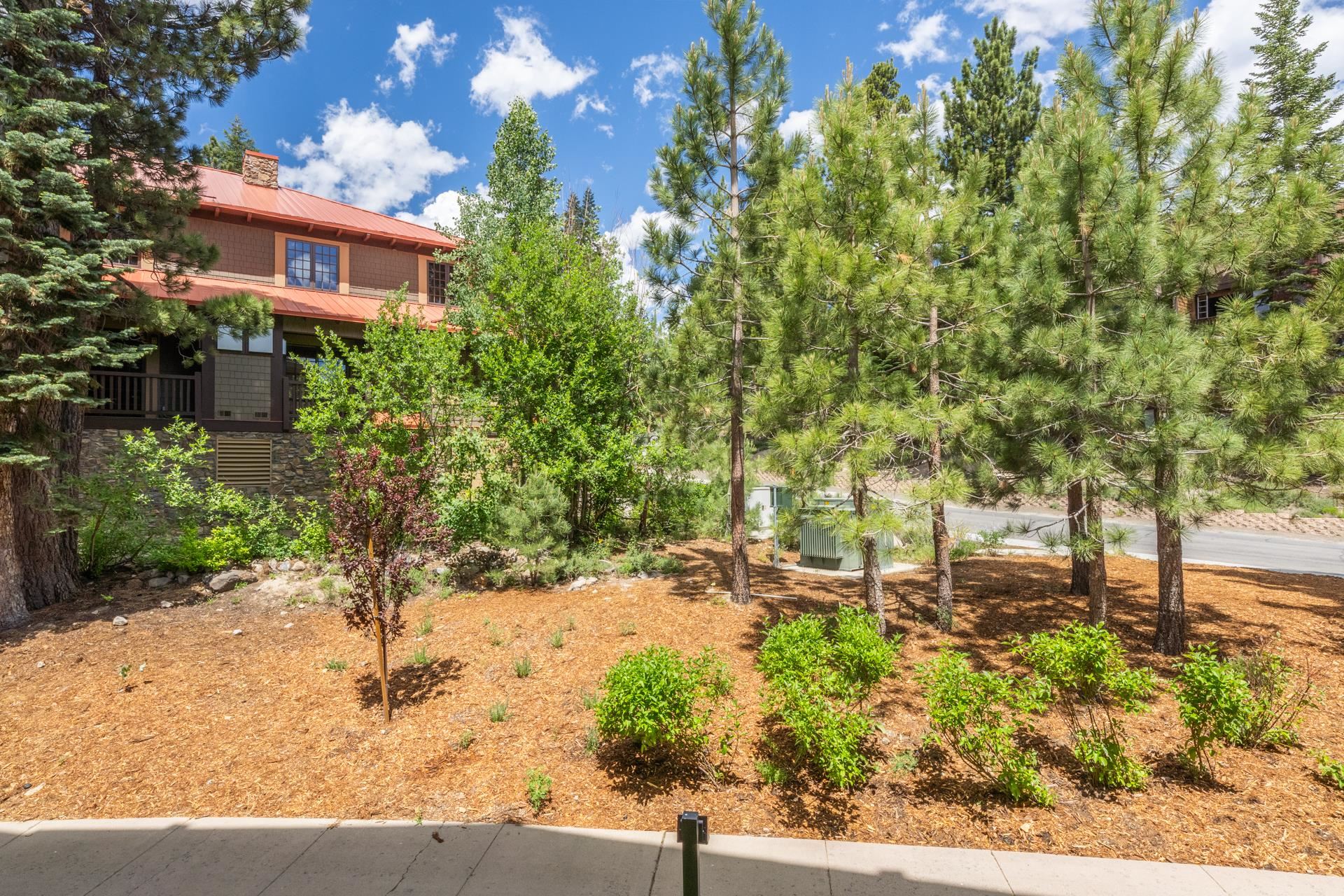 1111 Forest Trail #1316