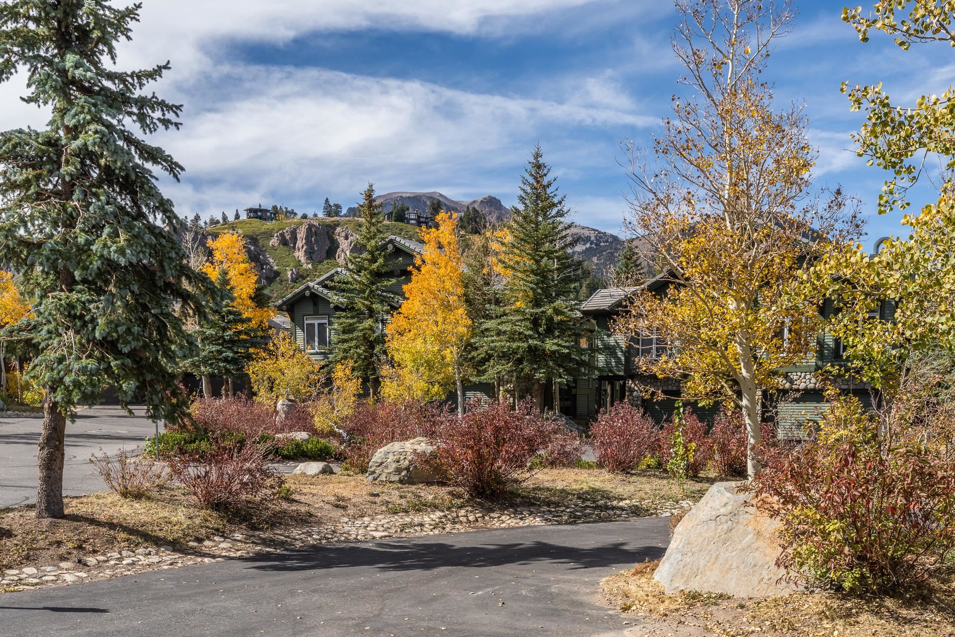 963 Fairway Circle Unit: Snowcreek V