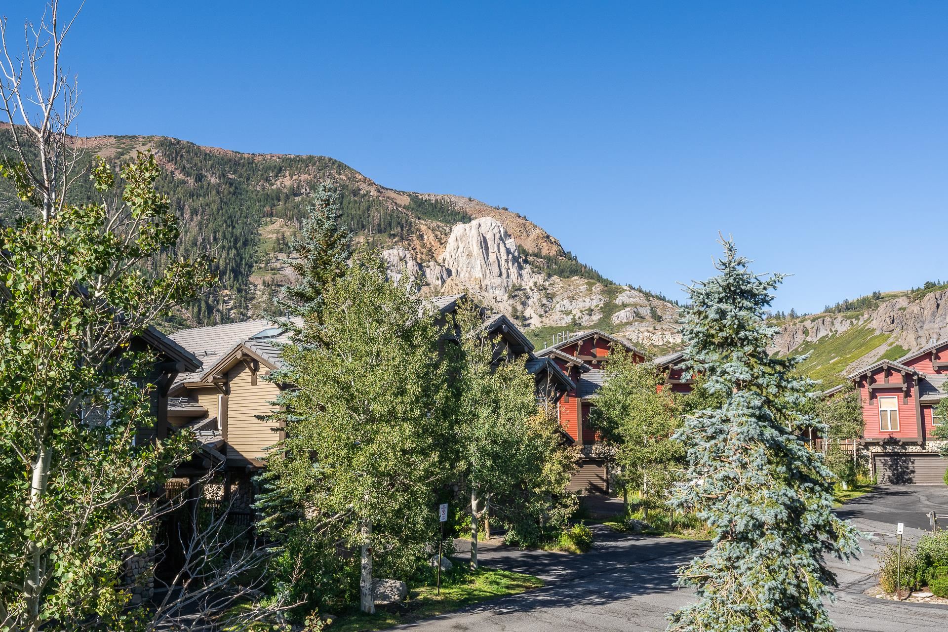 963 Fairway Circle Unit: Snowcreek V