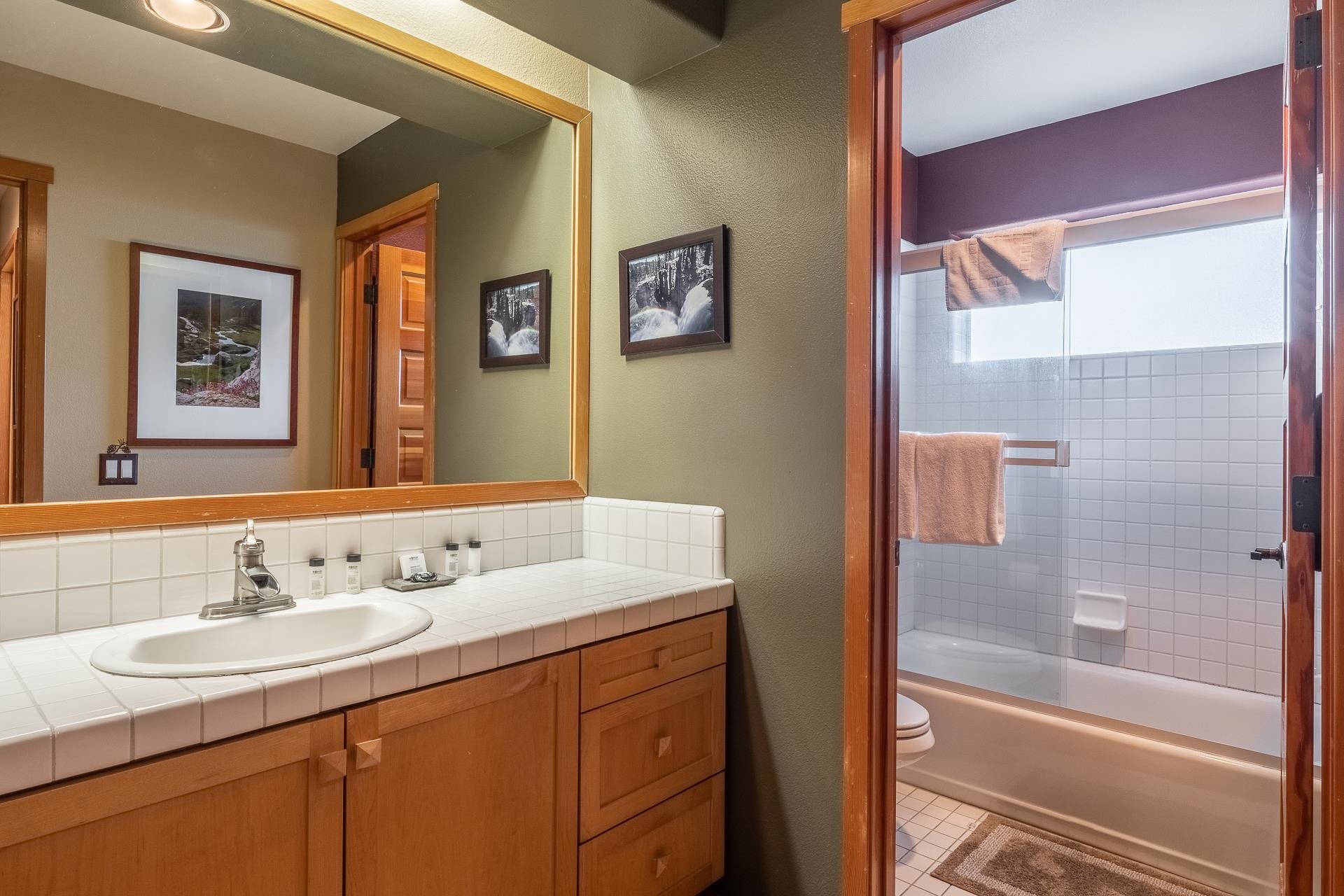 963 Fairway Circle Unit: Snowcreek V