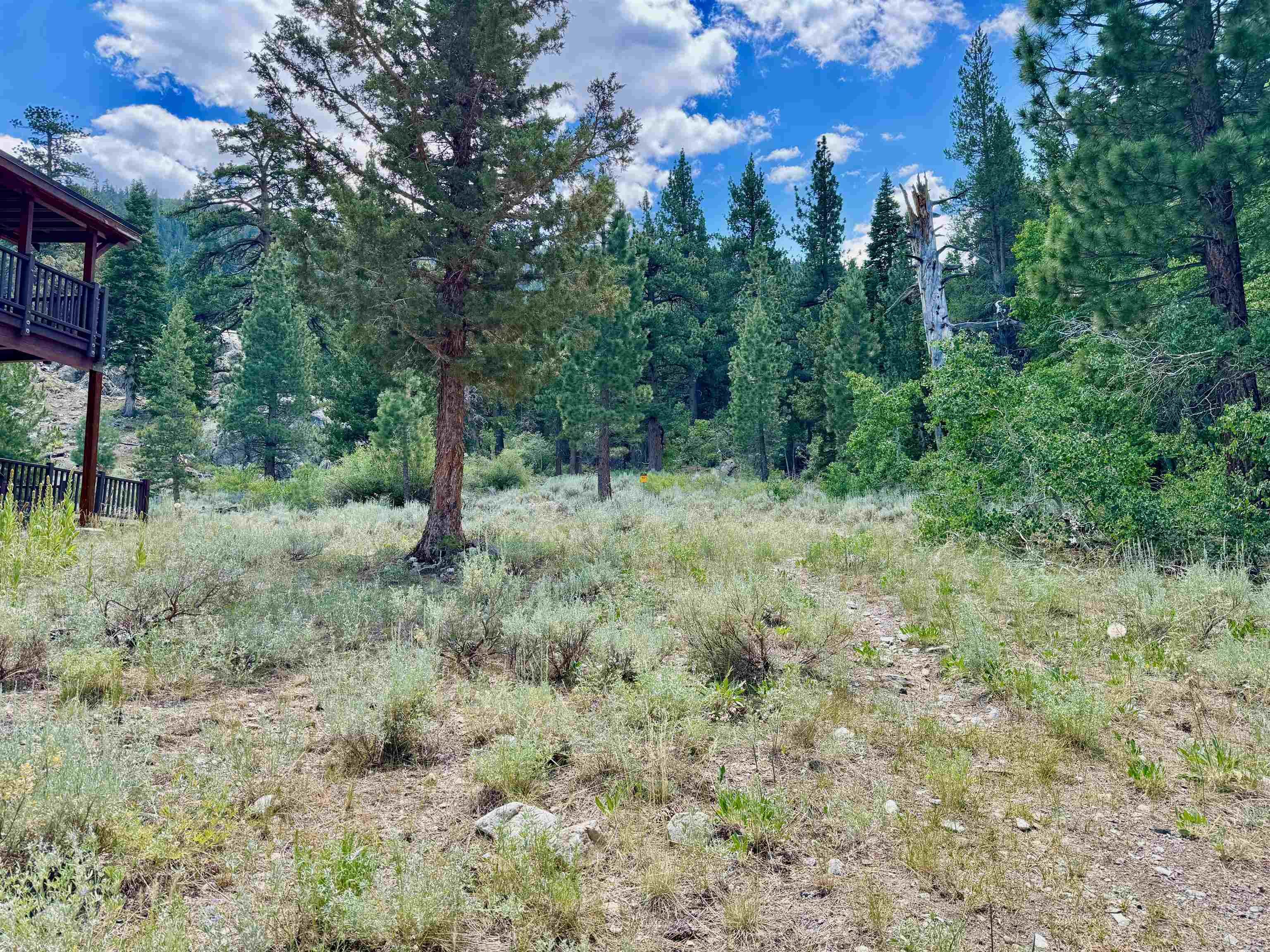 85 Shadow Pines Road