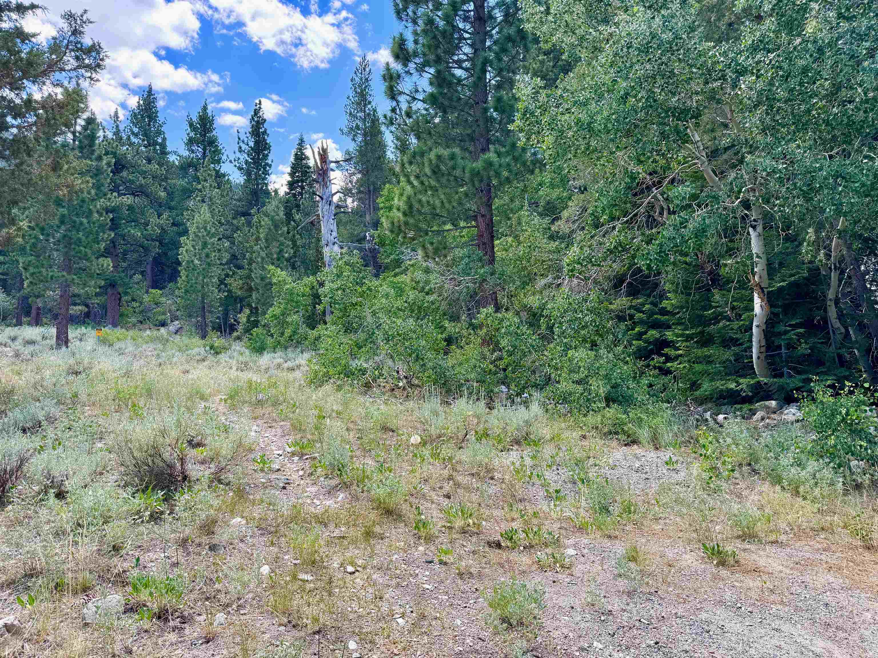 85 Shadow Pines Road