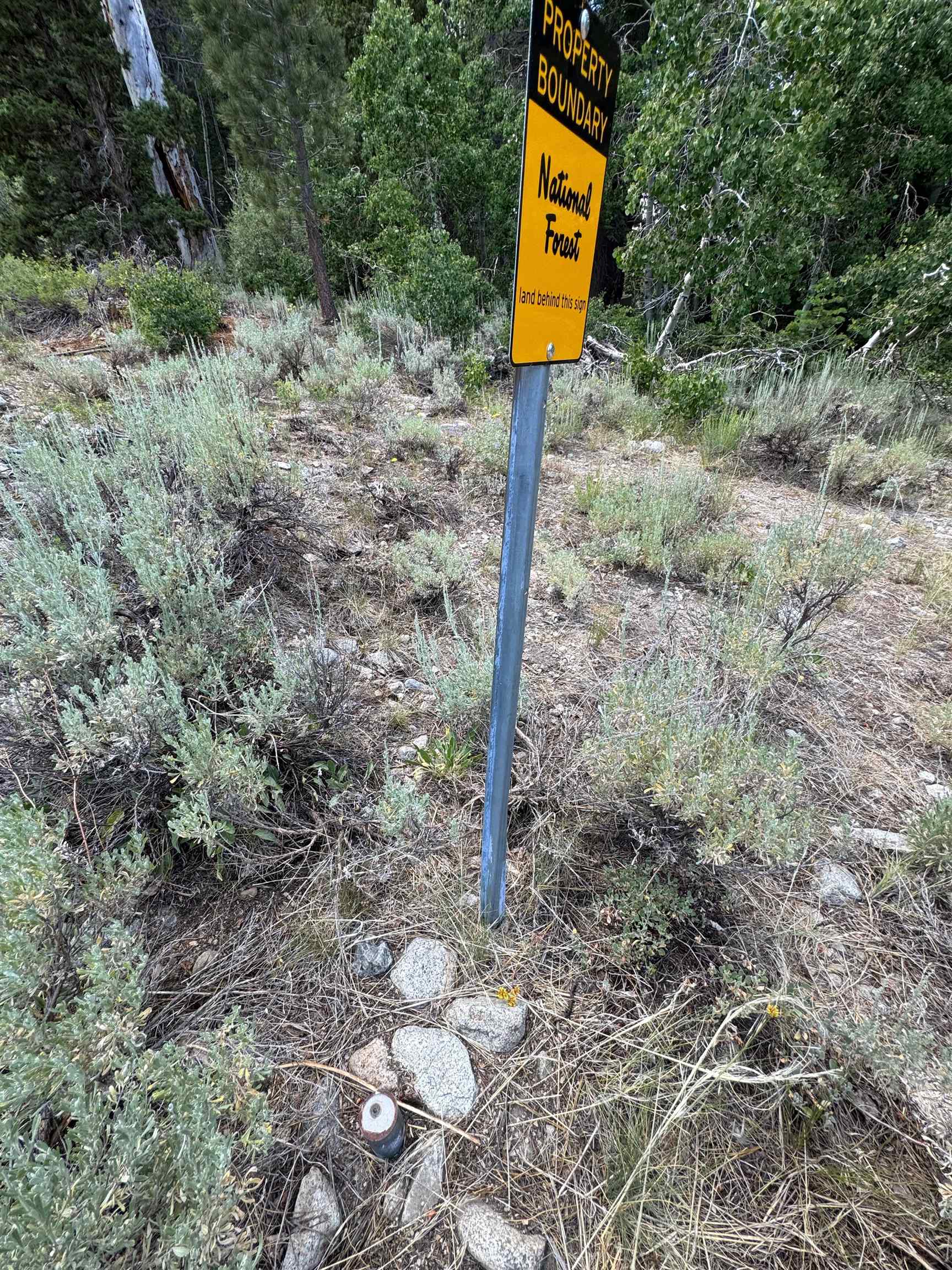 85 Shadow Pines Road