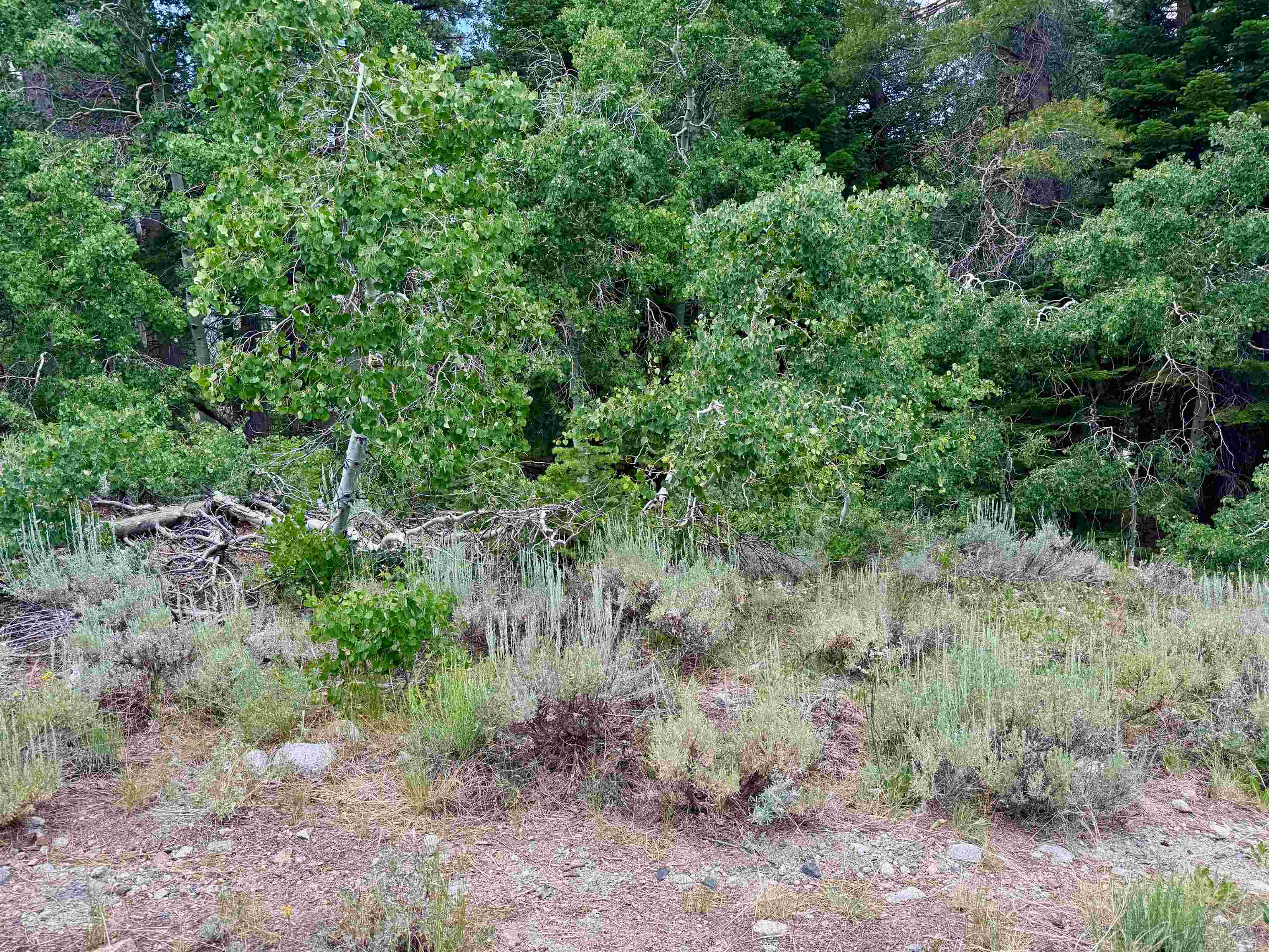 85 Shadow Pines Road