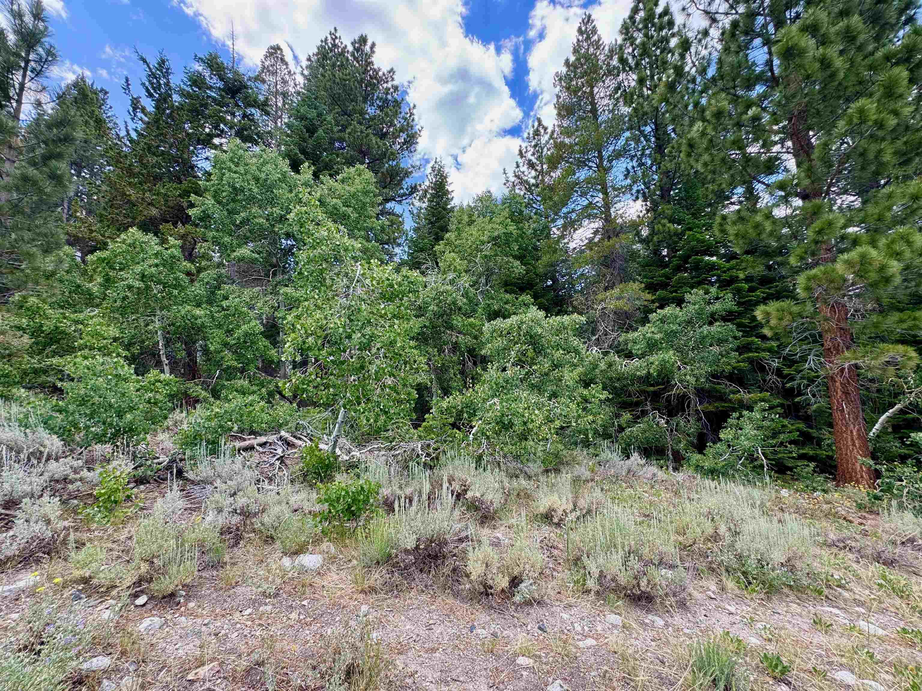 85 Shadow Pines Road