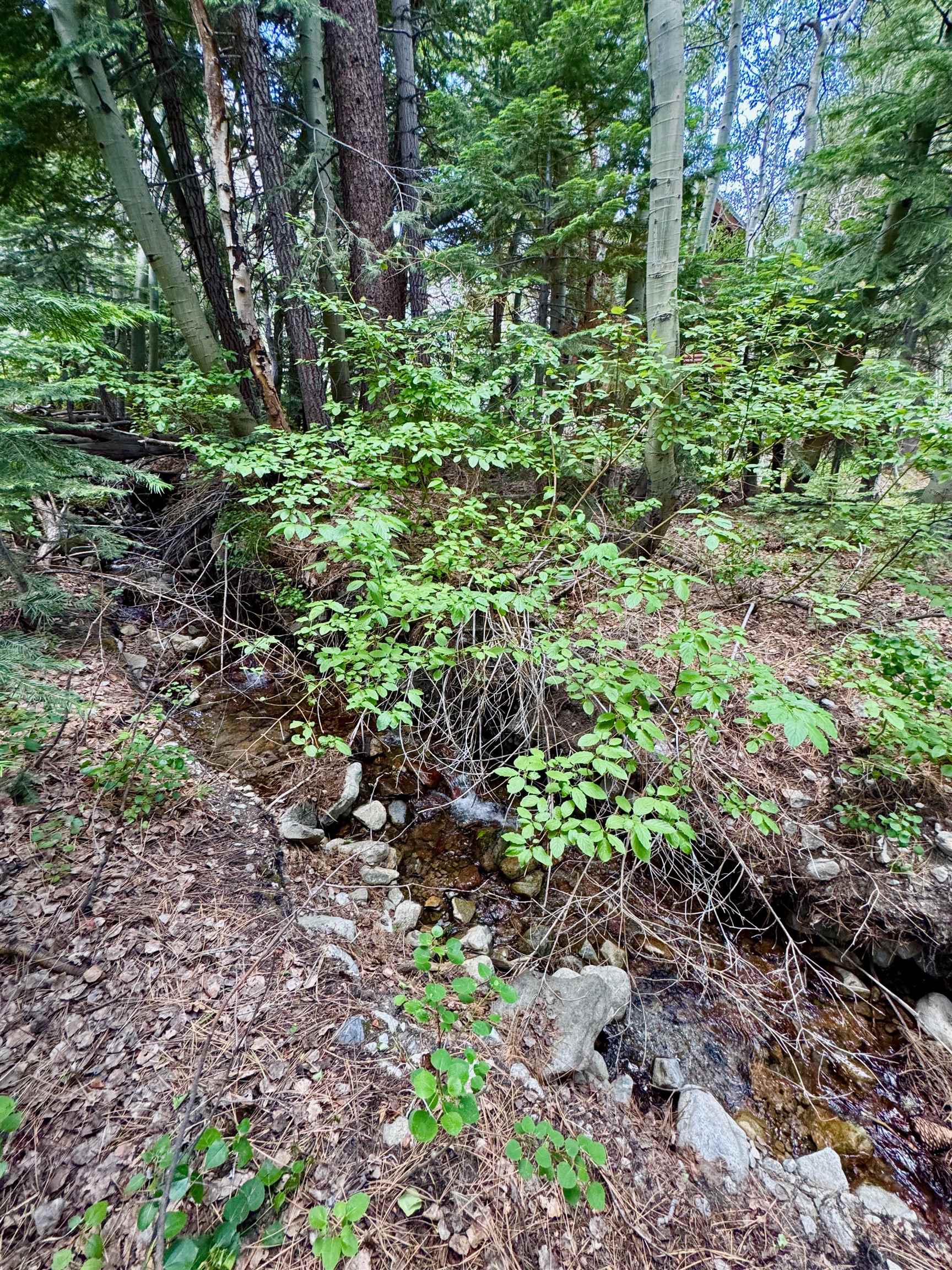 85 Shadow Pines Road