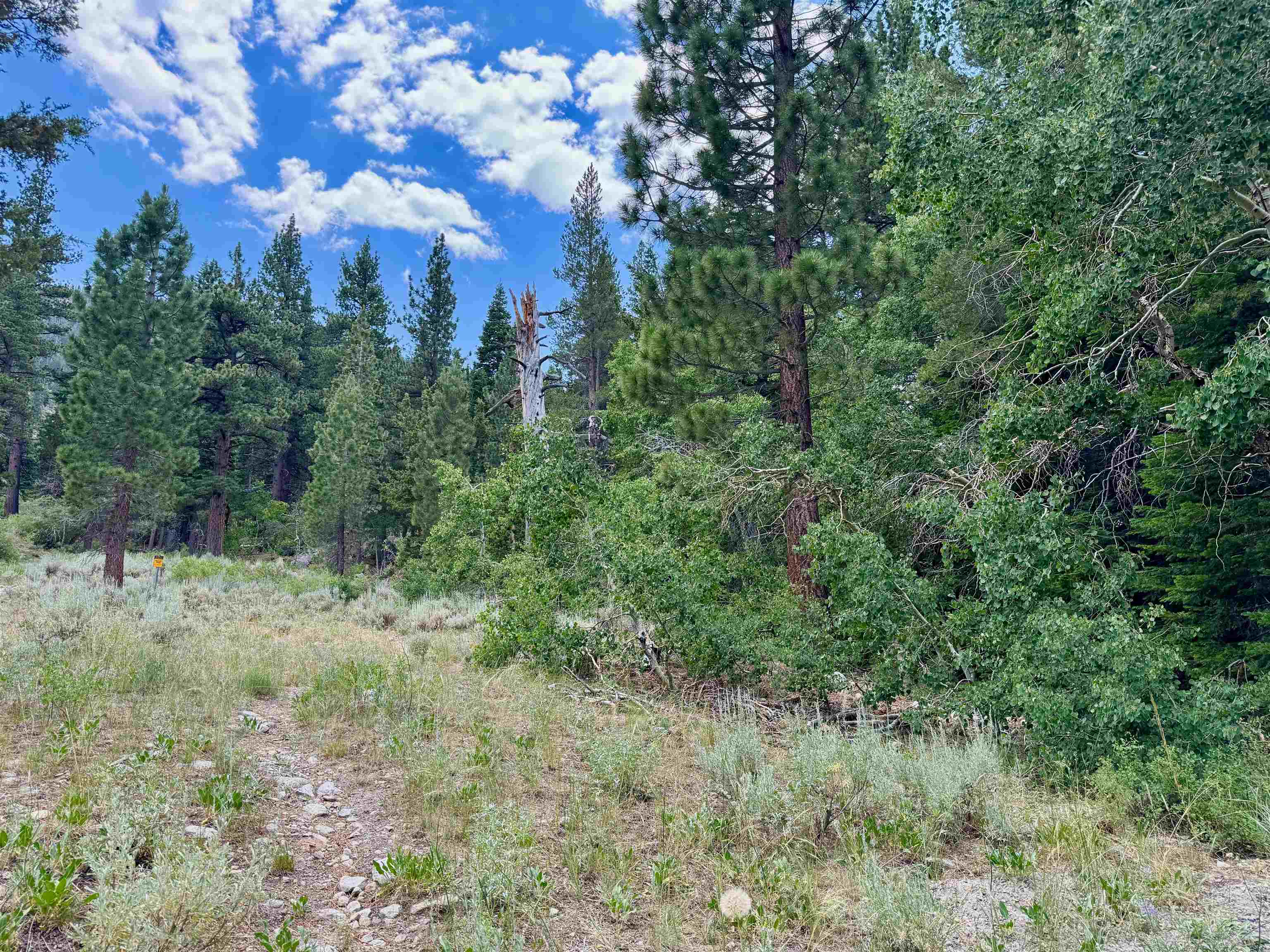 85 Shadow Pines Road